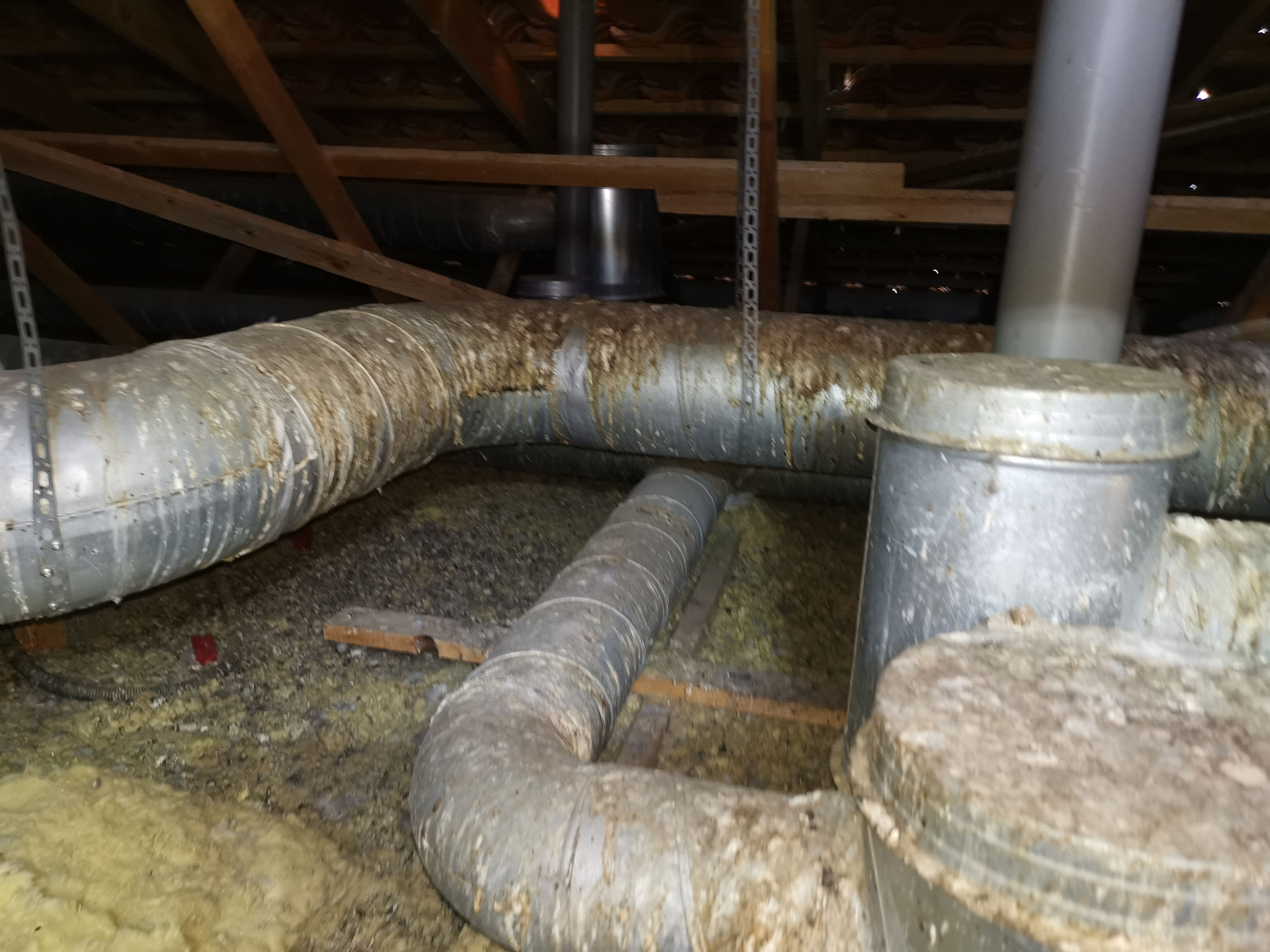 Système de ventilation VMC contaminé par les fientes de pigeons
