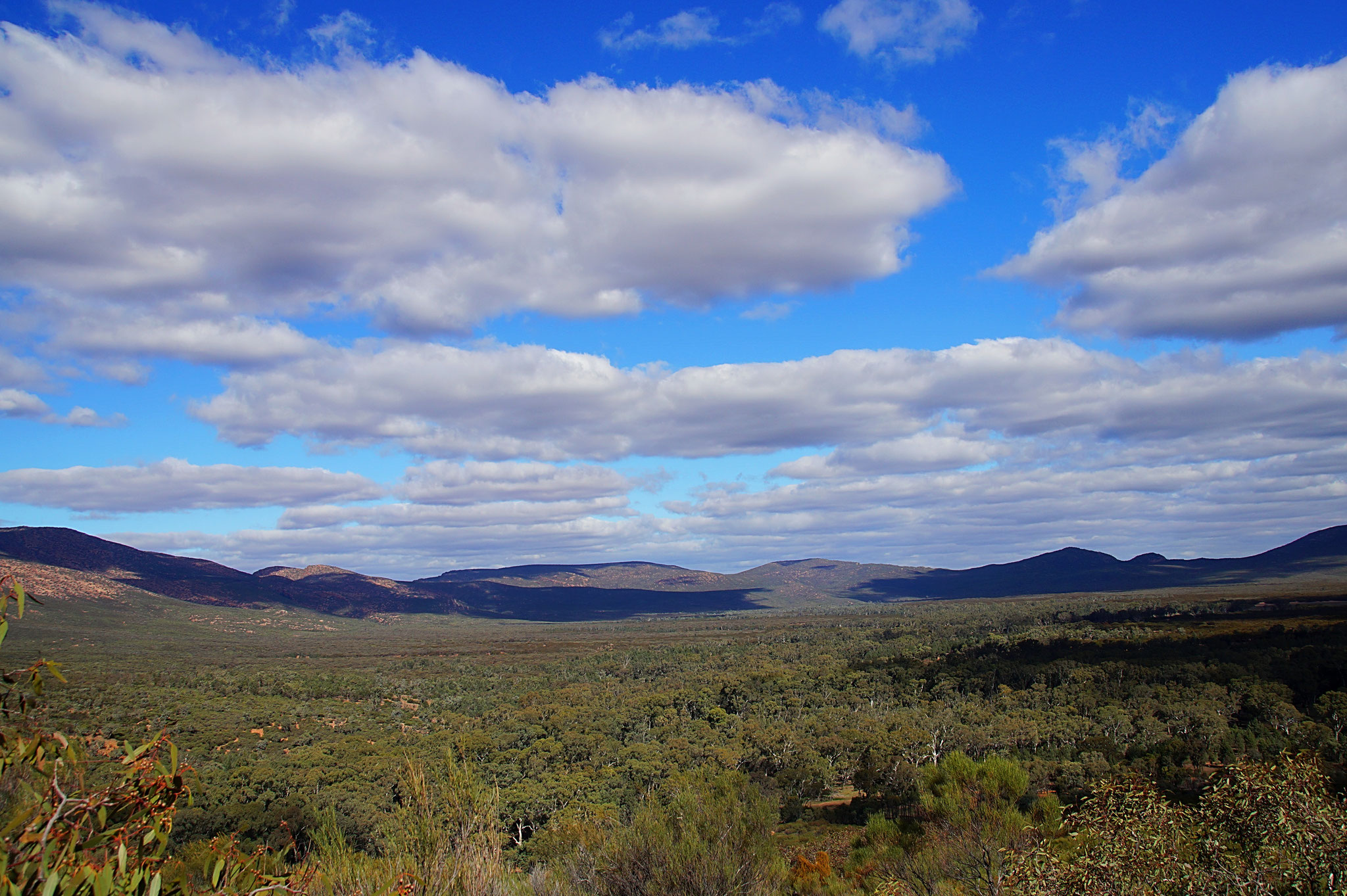 TOP 7 – Flinders Ranges. Teils karge, teils grüne Landschaft mit spektakulären Ausblicken. Unsere Empfehlung: geführte Bushtour mit Geländewagen in die Brachina und Bunyeroo Gorges. 