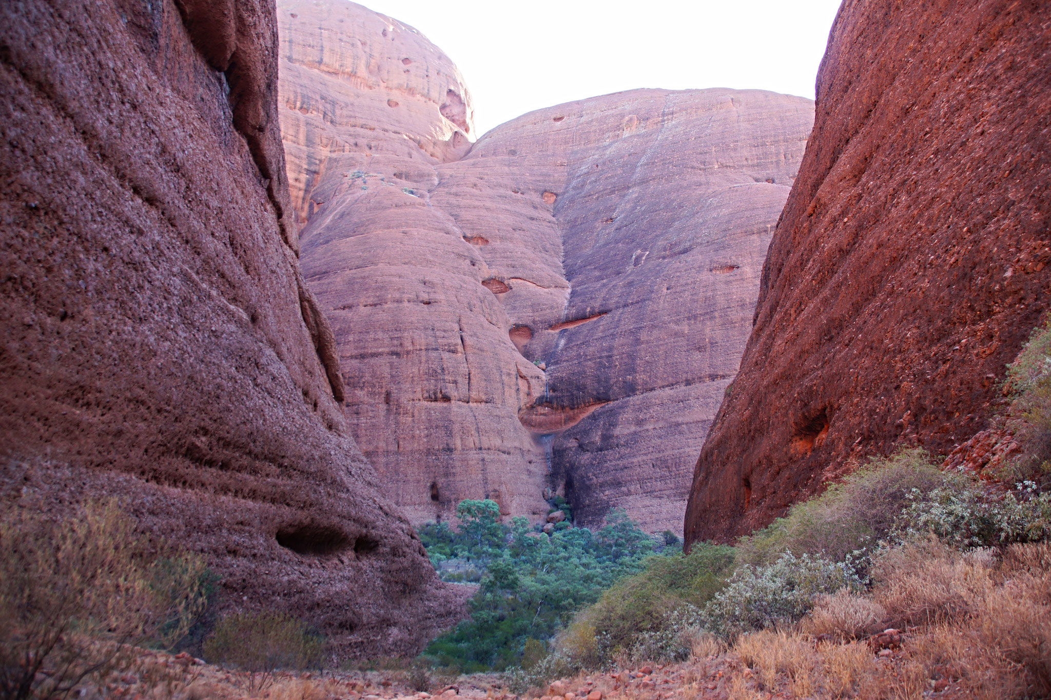 Der Valley of the Winds Walk führt zwischen den Kata Tjuta hindurch.