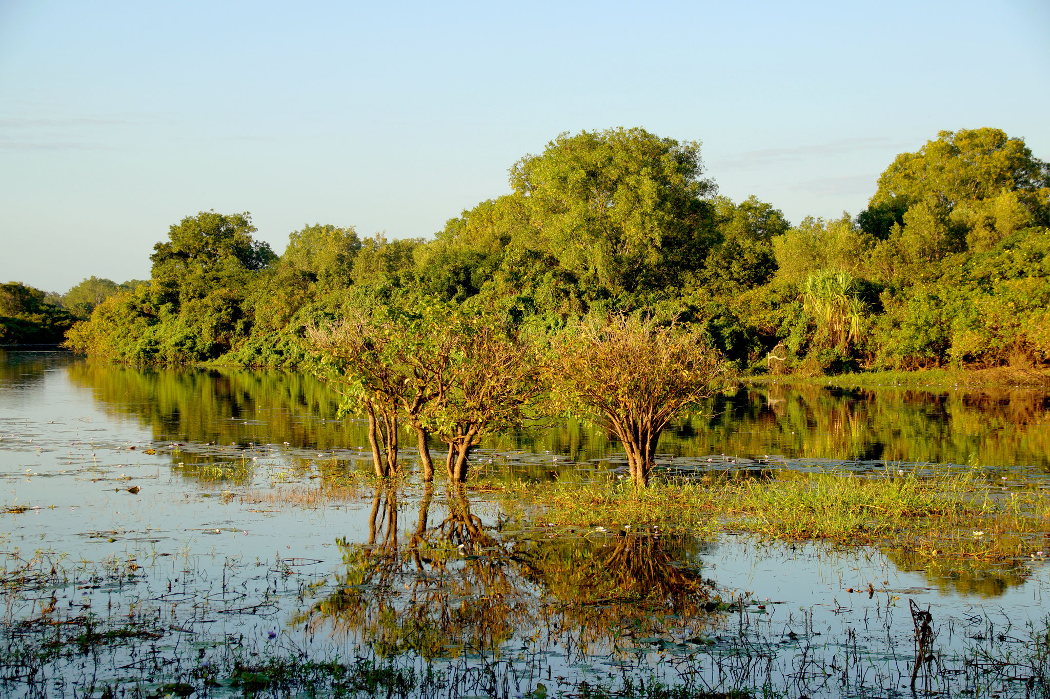 Wasserlandschaft am Home Billabong - Idylle mit Tücken.