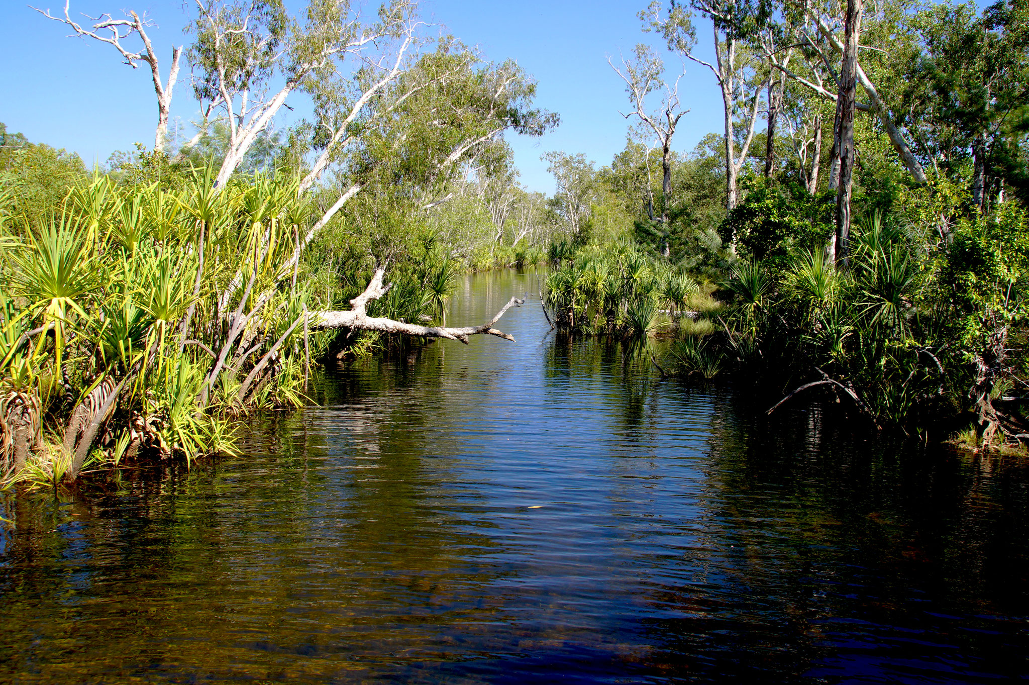 Idylle am Edith River