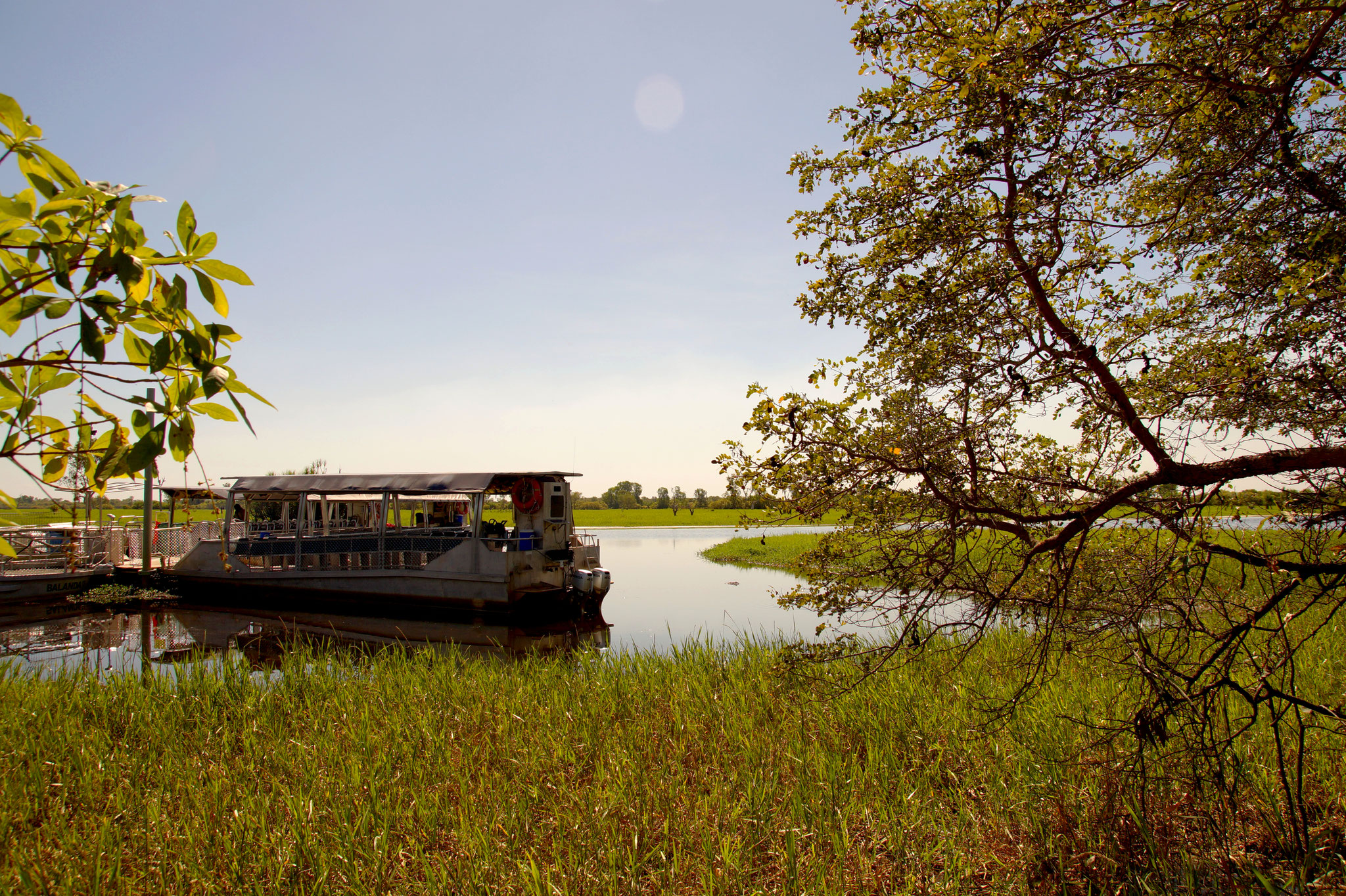 Der Yellow Water Billabong: ein scheinbar friedliches Idyll.