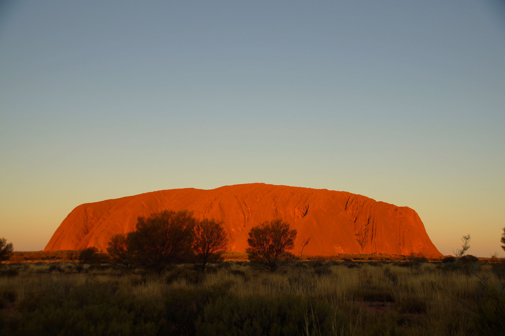 Bei Sonnenuntergang leuchtet der Uluru in wechselnden Farben.