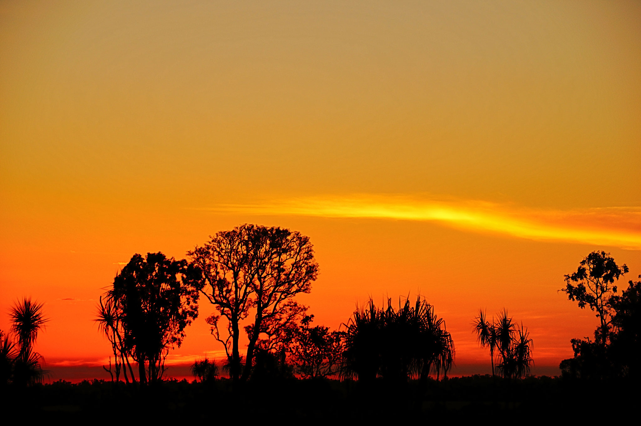 Farbenprächtiger Sonnenuntergang über dem Busch hinter der Wildman Wilderness Lodge