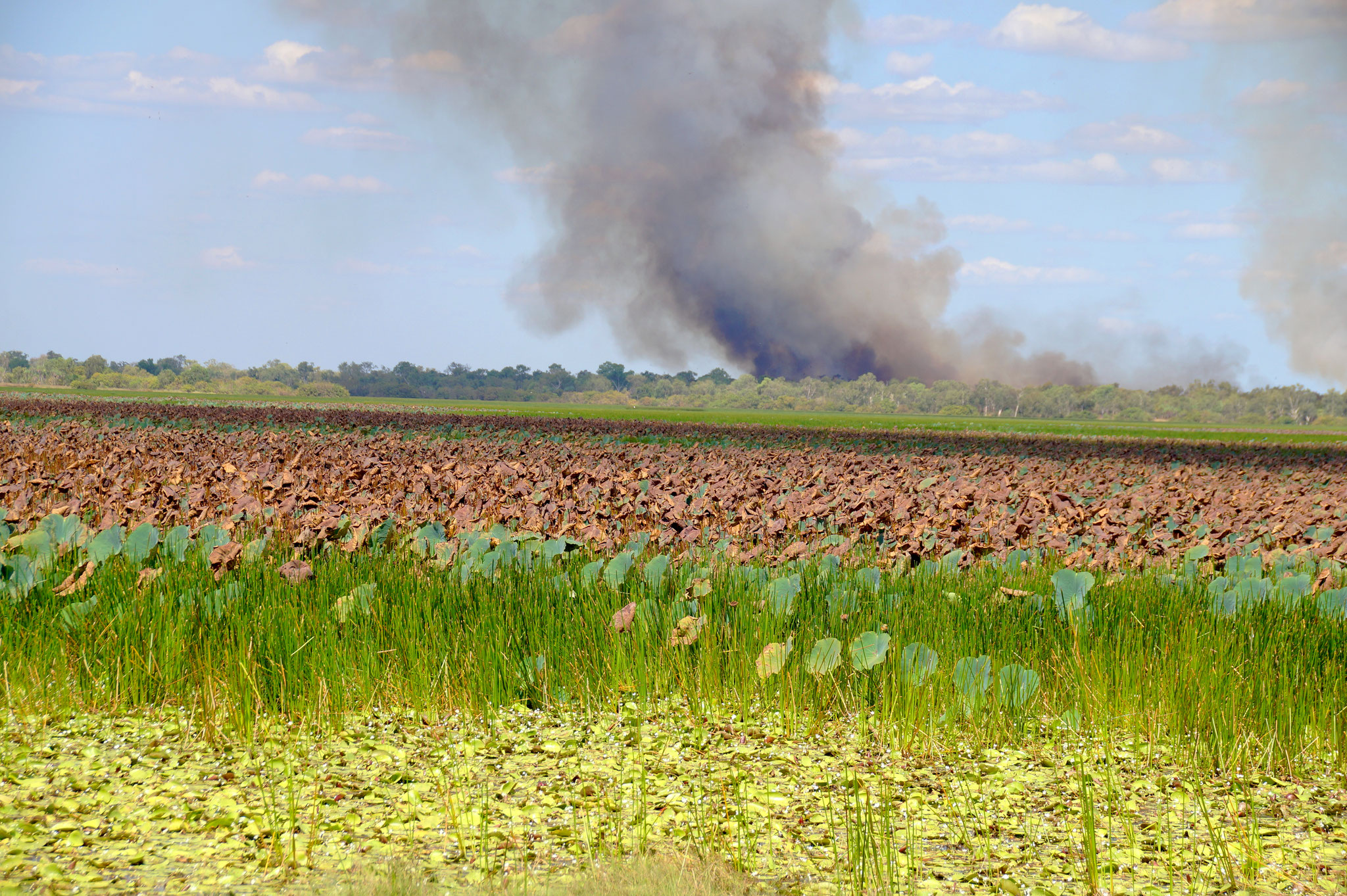 Im Mai sahen wir von der Vogelwarte der Mamukala Wetlands aus nur den Rauch eines Buschfeuers.