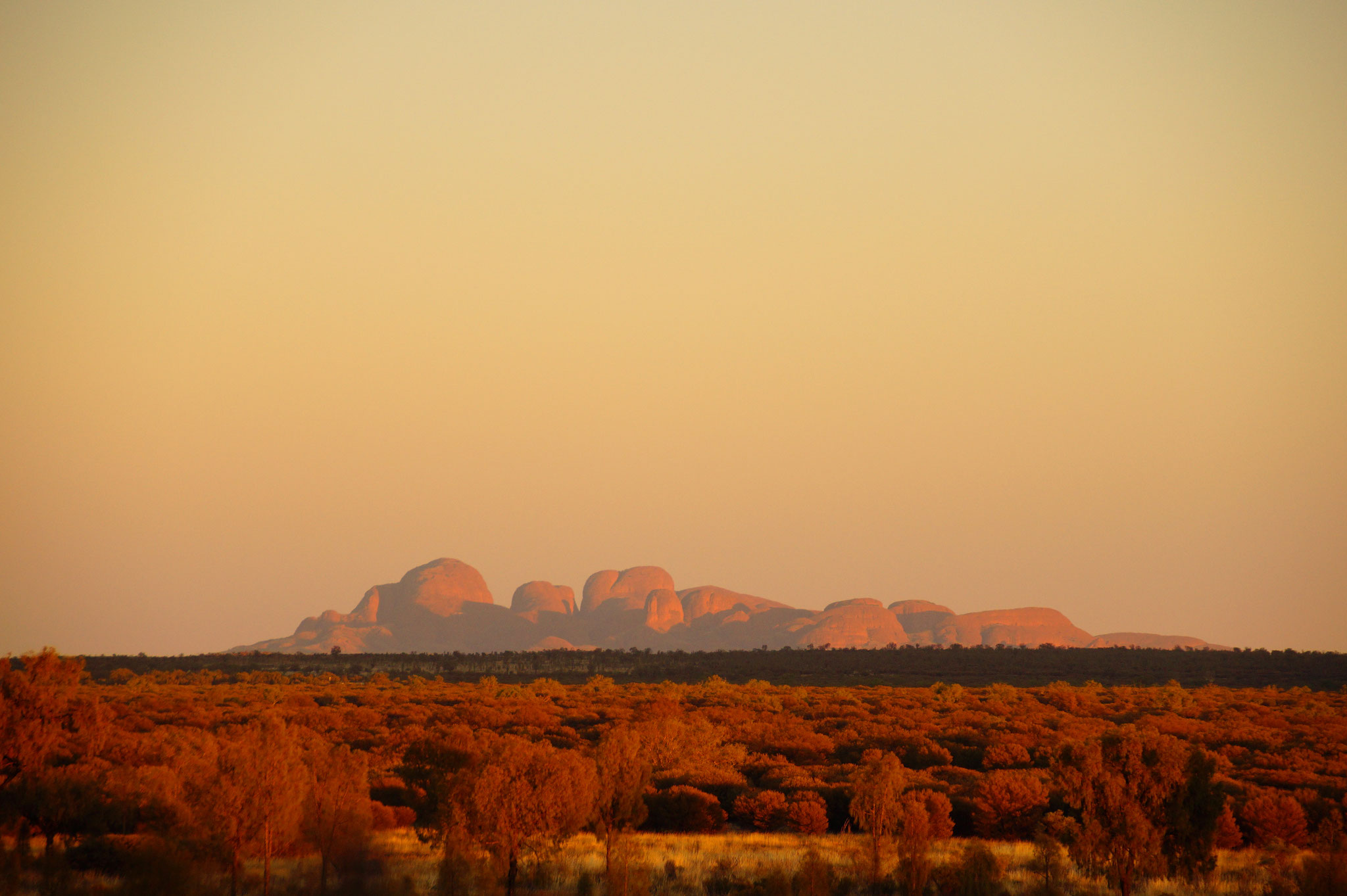 Kata Tjuta im Morgendunst vom Uluru aus gesehen.