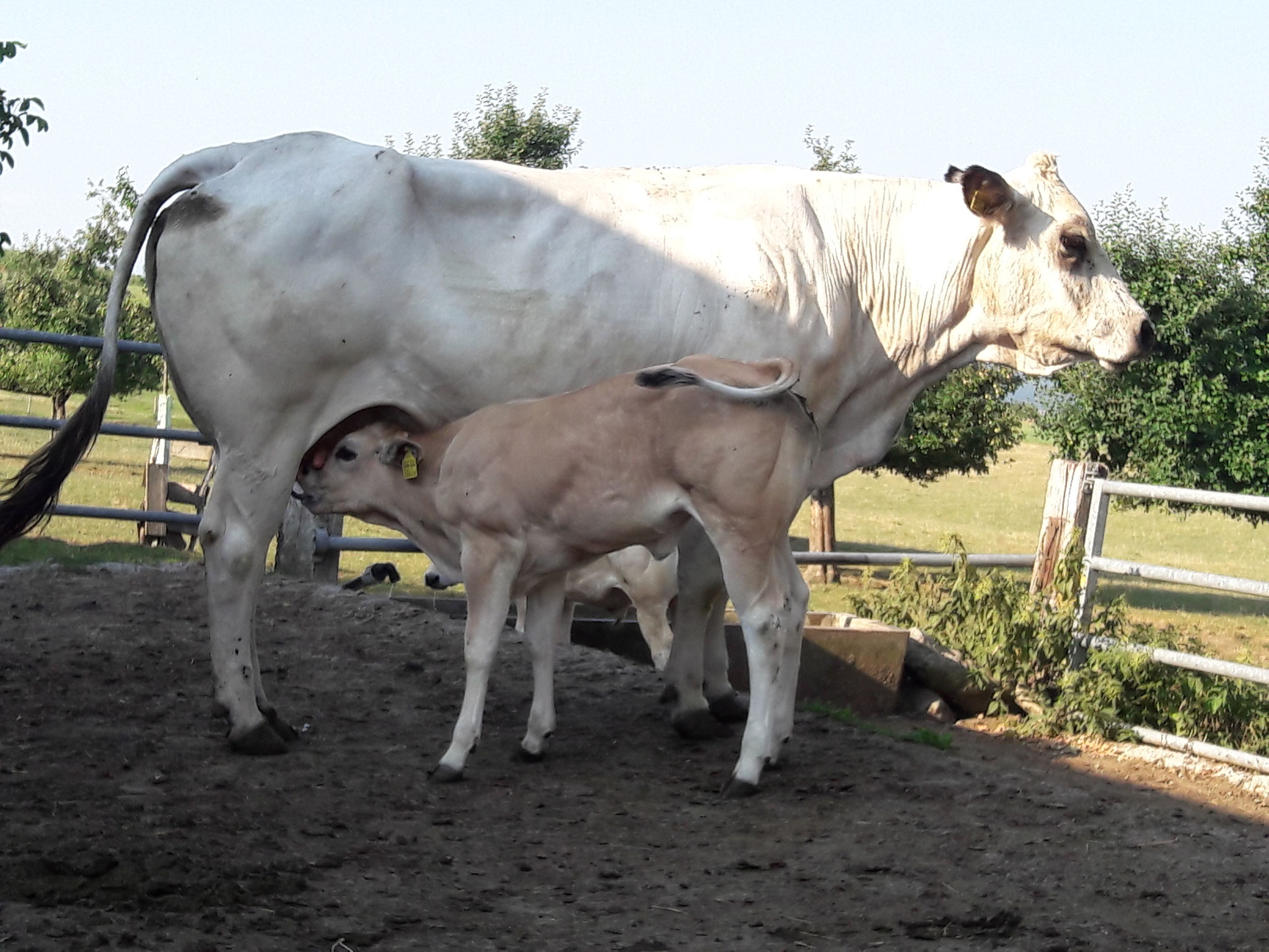 Camilla mit Mama Lara