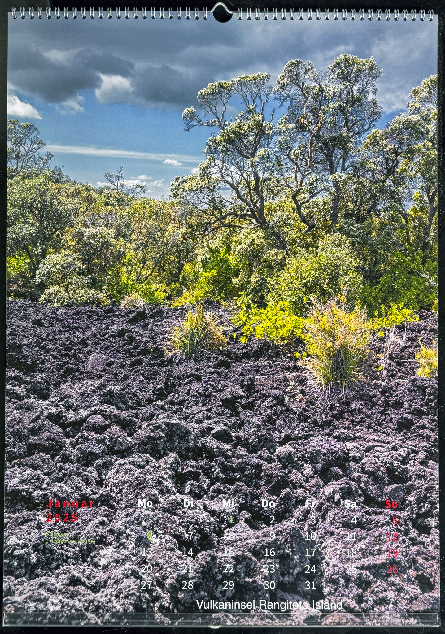 Vulkaninsel Rangitoto Island, nahe Auckland, Nordinsel 