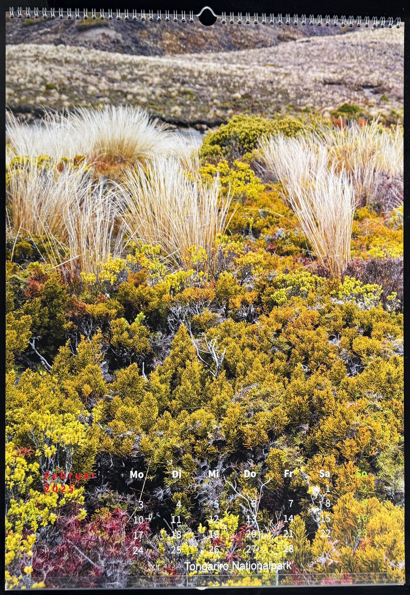 Steppe im Tongariro Nationalpark, Nordinsel