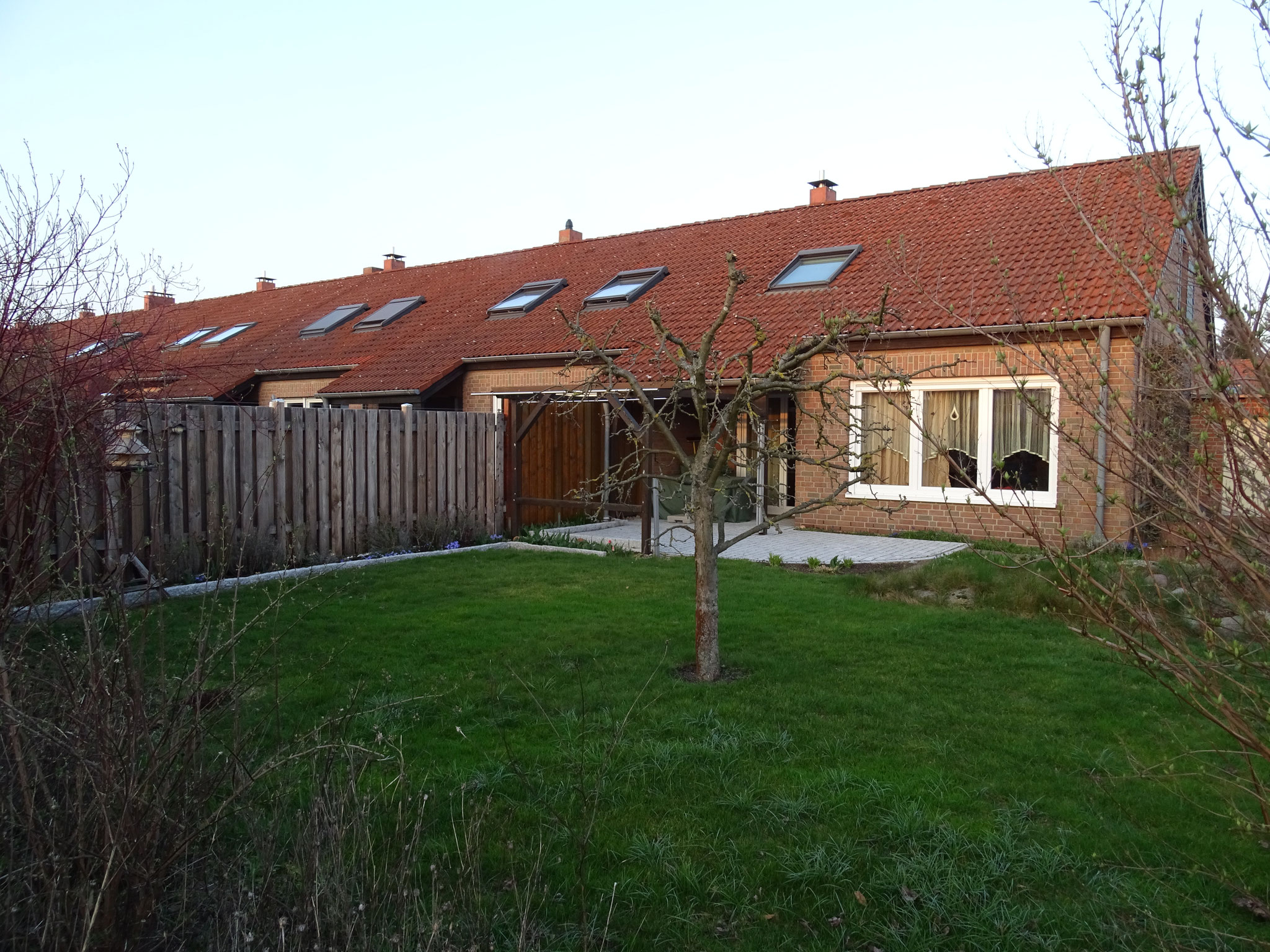 Hausbaum und Naturstein-Terrasse