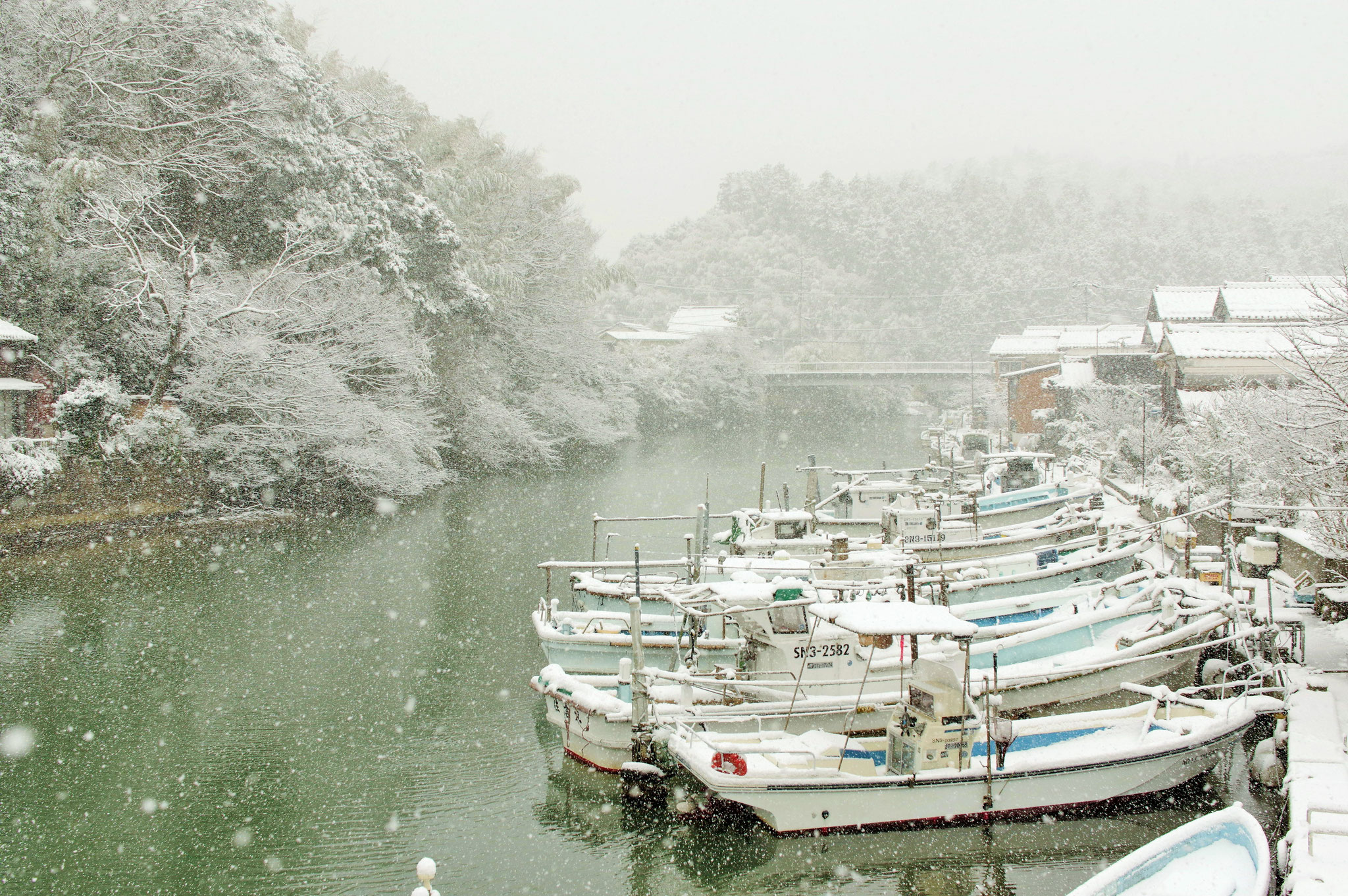 しんしんと雪降り積む