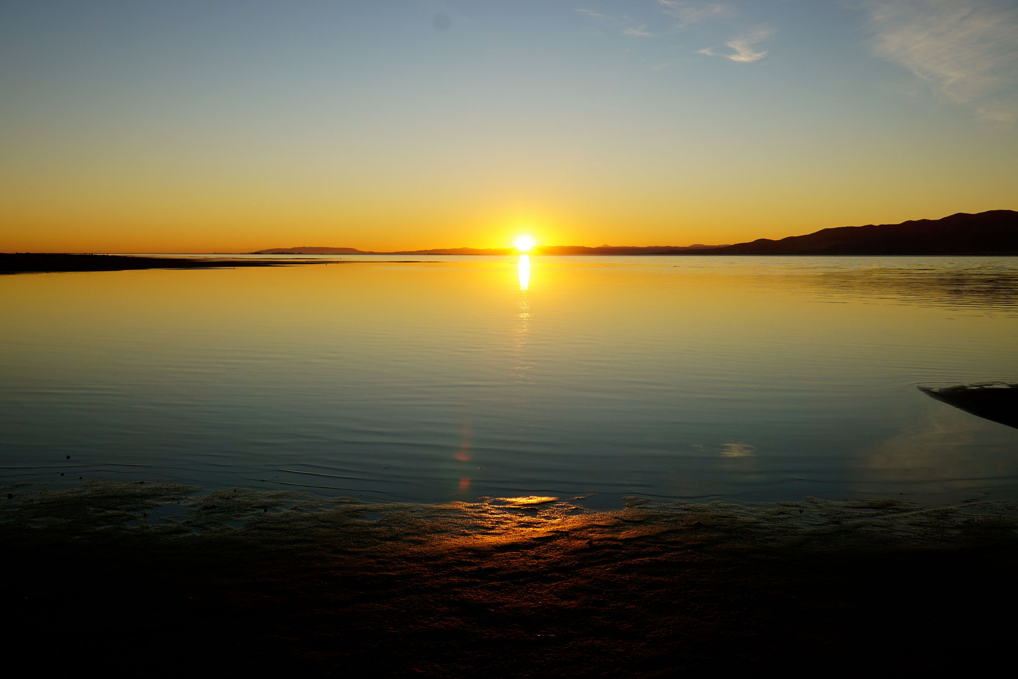 Dawn in Ebre Delta