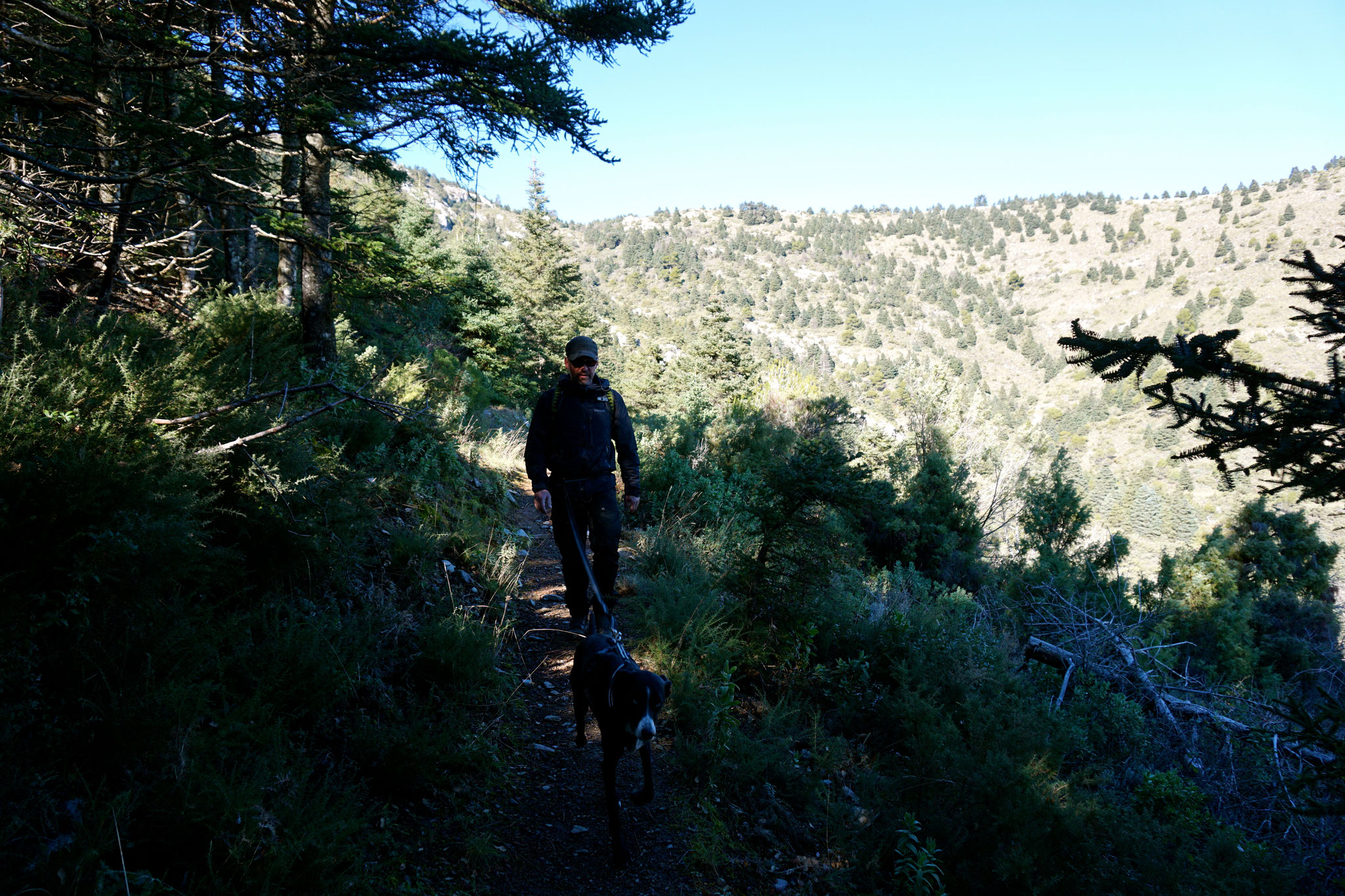 Auf dem Trail in der Sierra de las Nieves