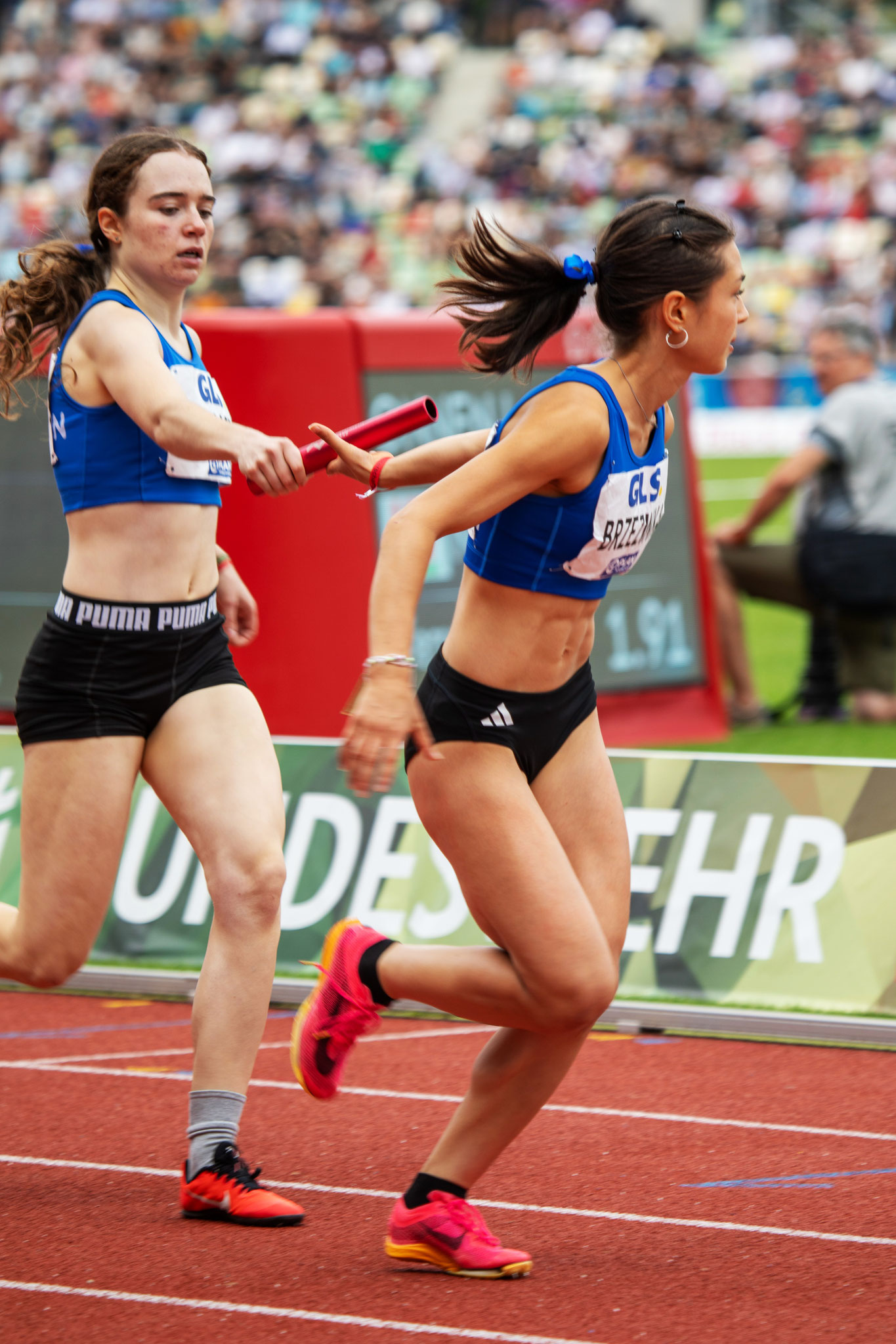 Fidelia wechselt zu Ada