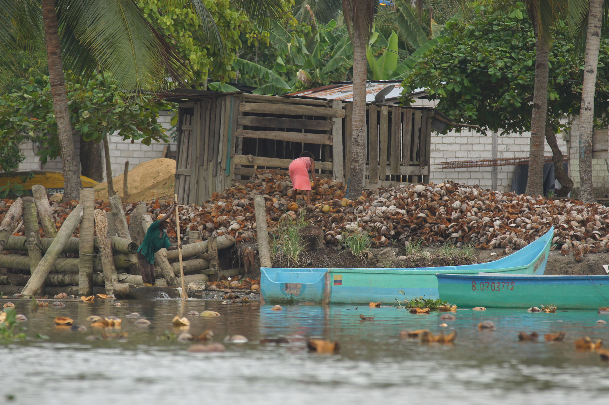 Kokosnußverarbeitung