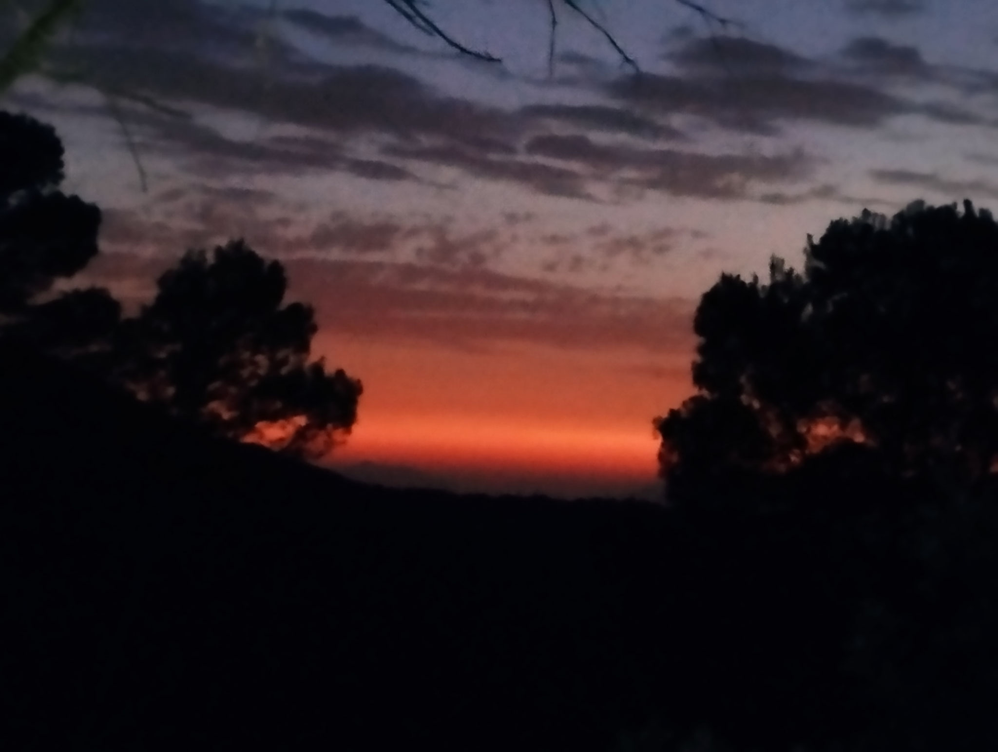 FOTO 8. ANOCHECER EN RUTA (MN MONTES DE MÁLAGA)