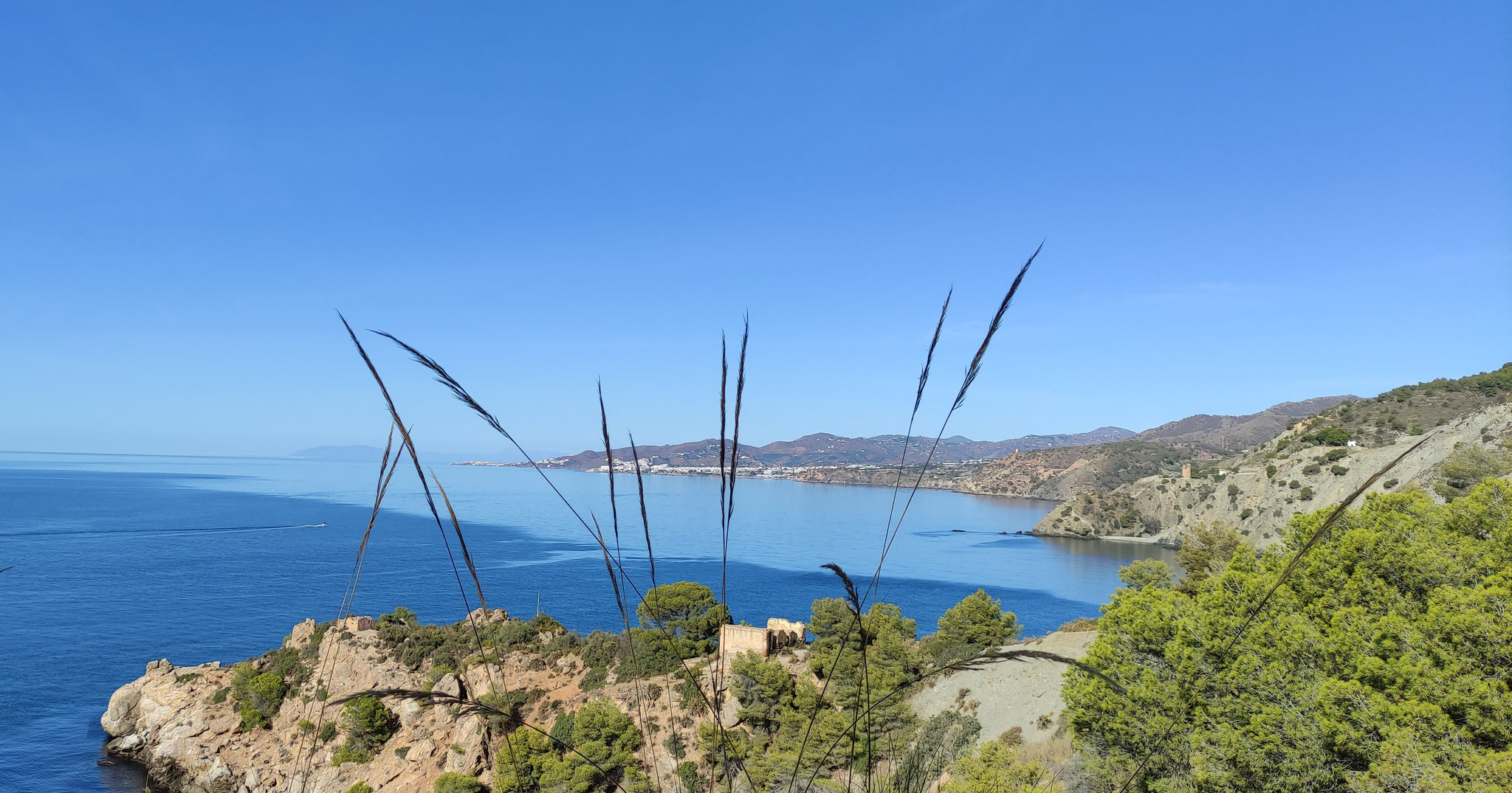 FOTO 16. NATURALEZA PURA (CAÑUELO-CANTARRIJAN)