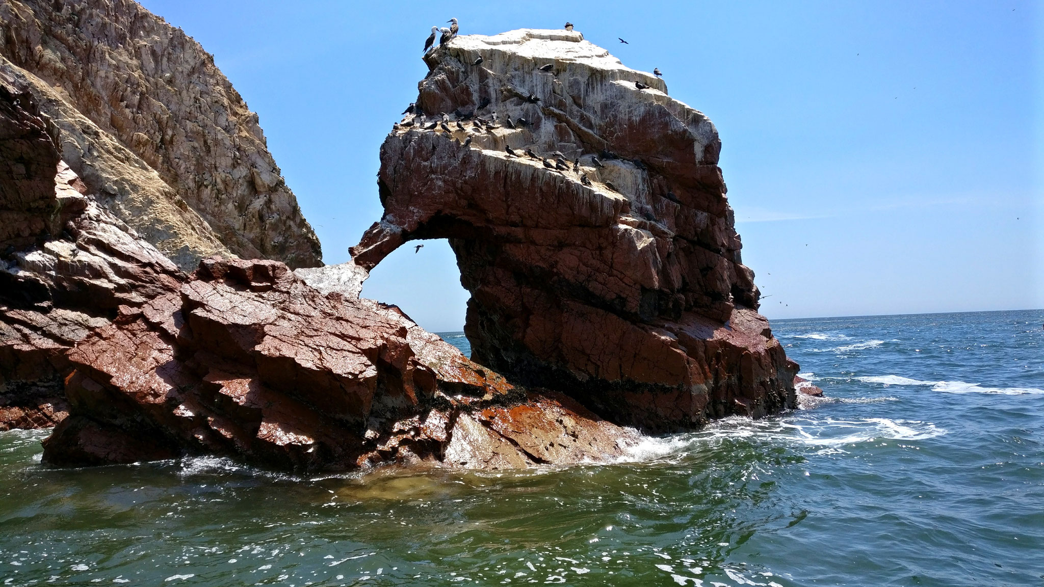 Ballestas Norte