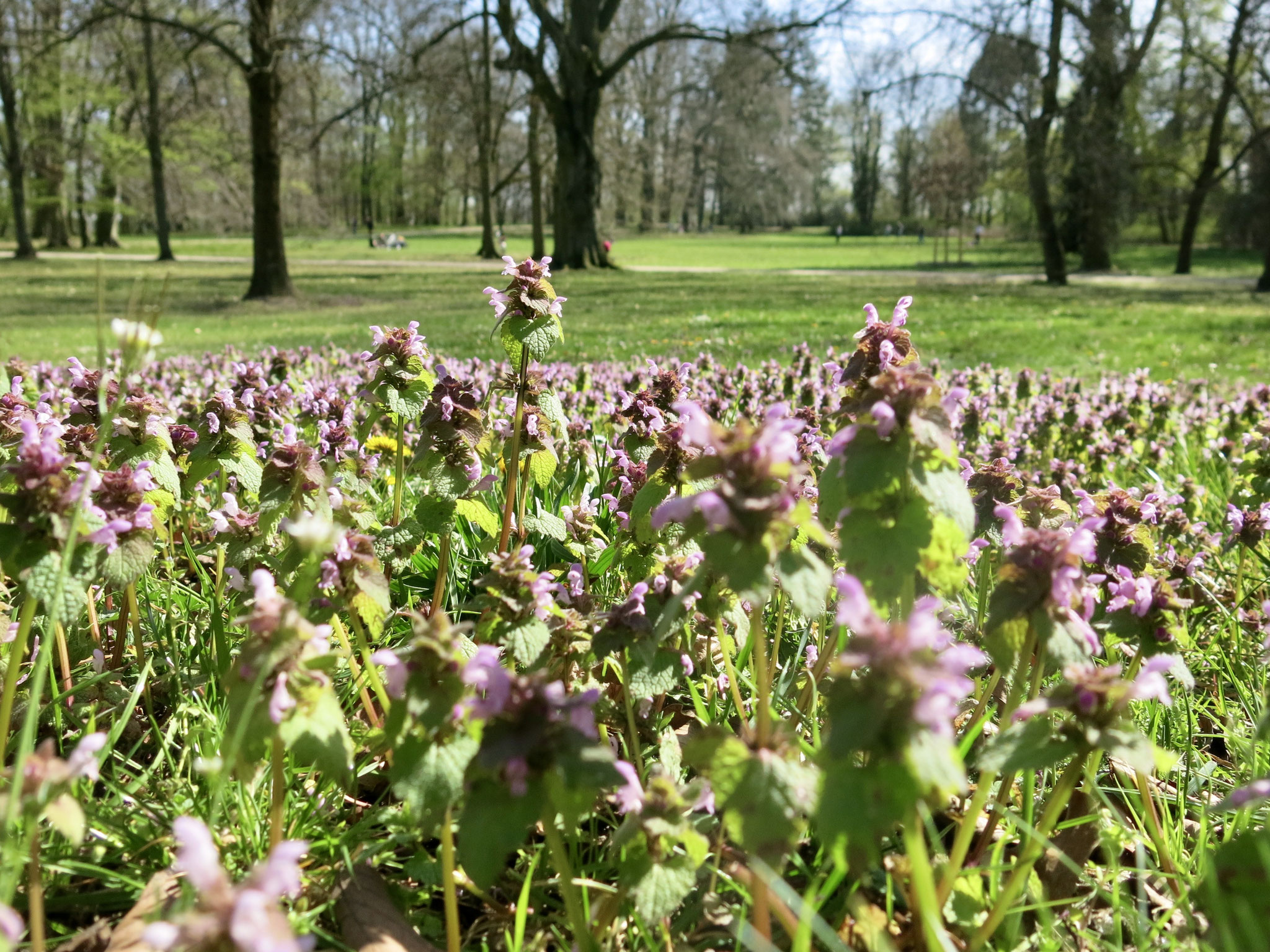 Tipp 4: Schlosspark Biesdorf