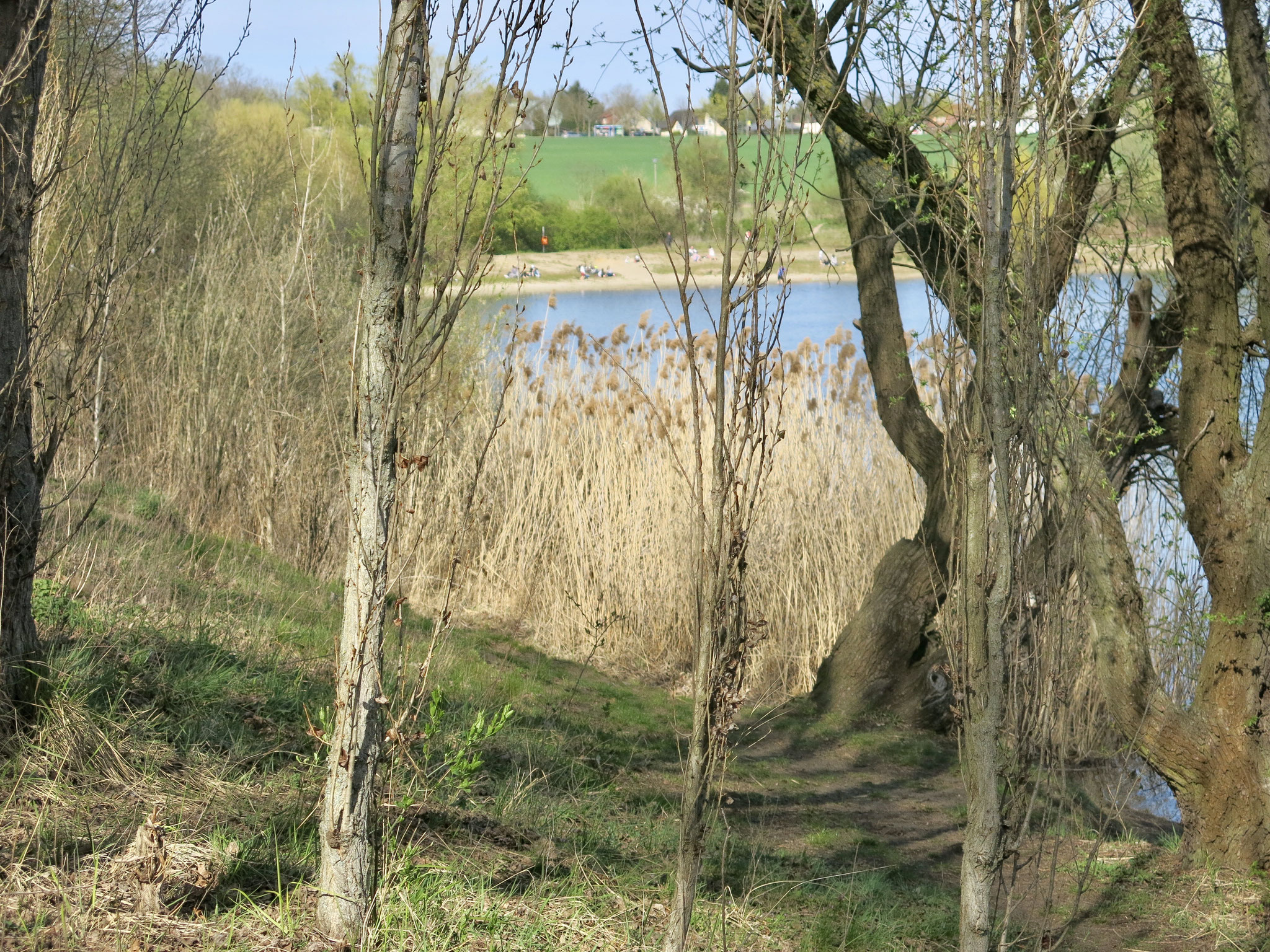 Tipp 5: Kaulsdorfer Seen, Butzer See