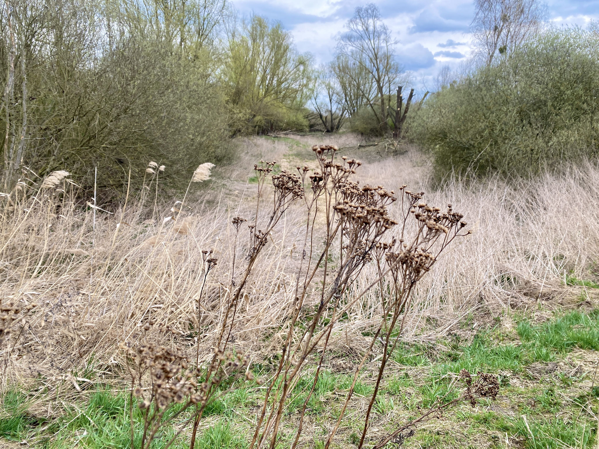 Tipp 3: Wuhle-Hönow-Weg