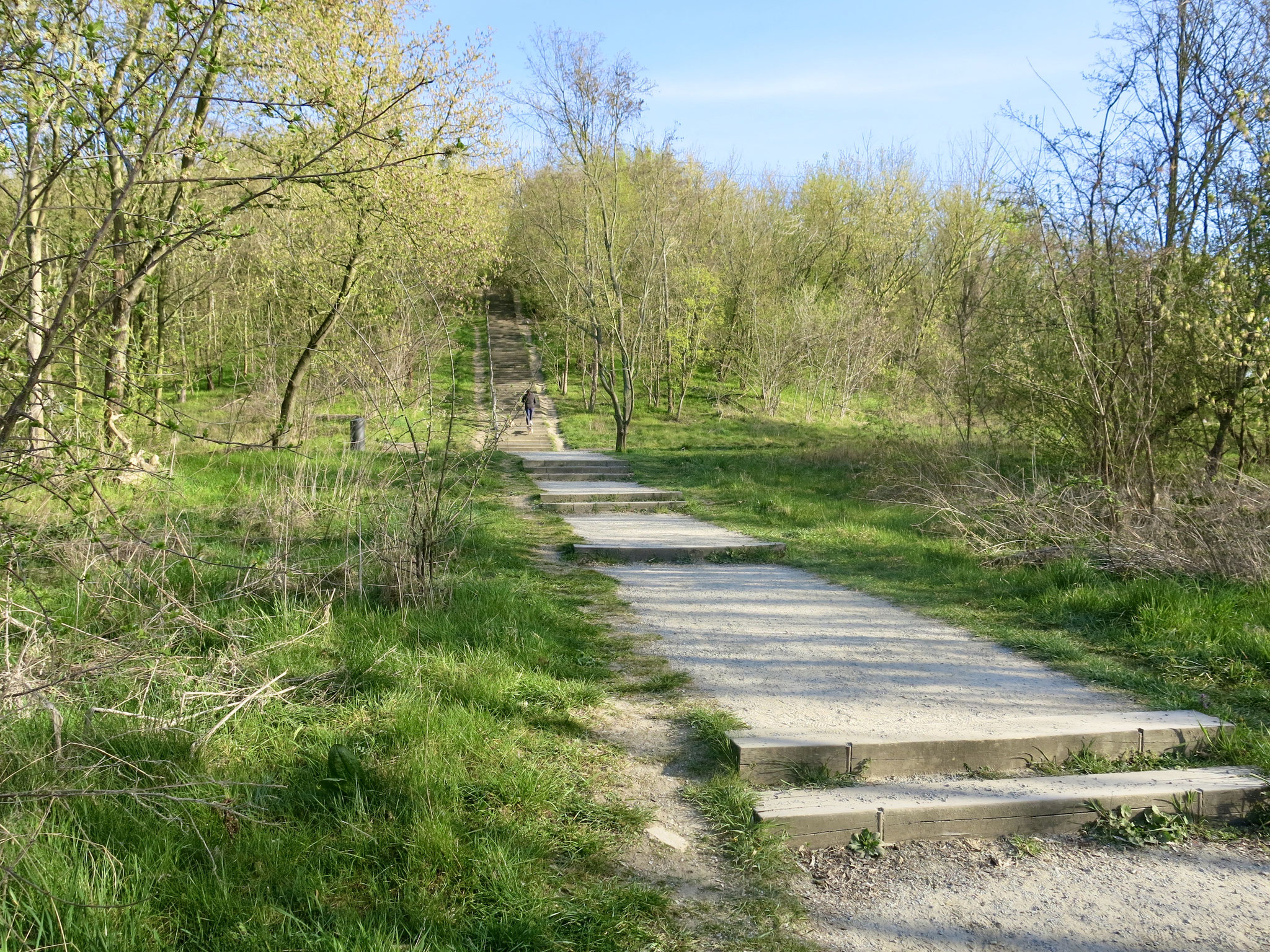 Tipp 9: Kienberg: Ein Weg zum Gipfel führt steil bergauf.