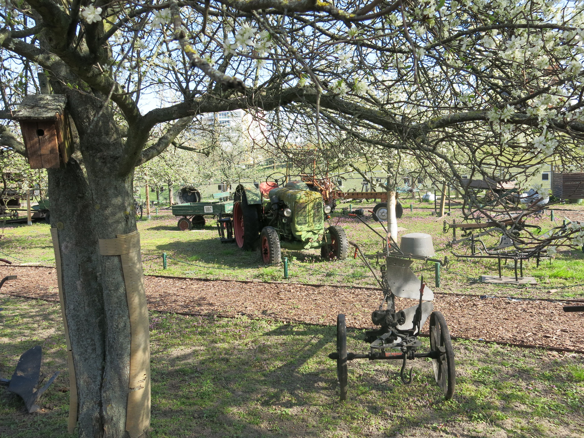 Tipp 10: Alt-Marzahn: Gleich nebenan befindet sich eine Open-Air-Ausstellung historischer Landmaschinen. 