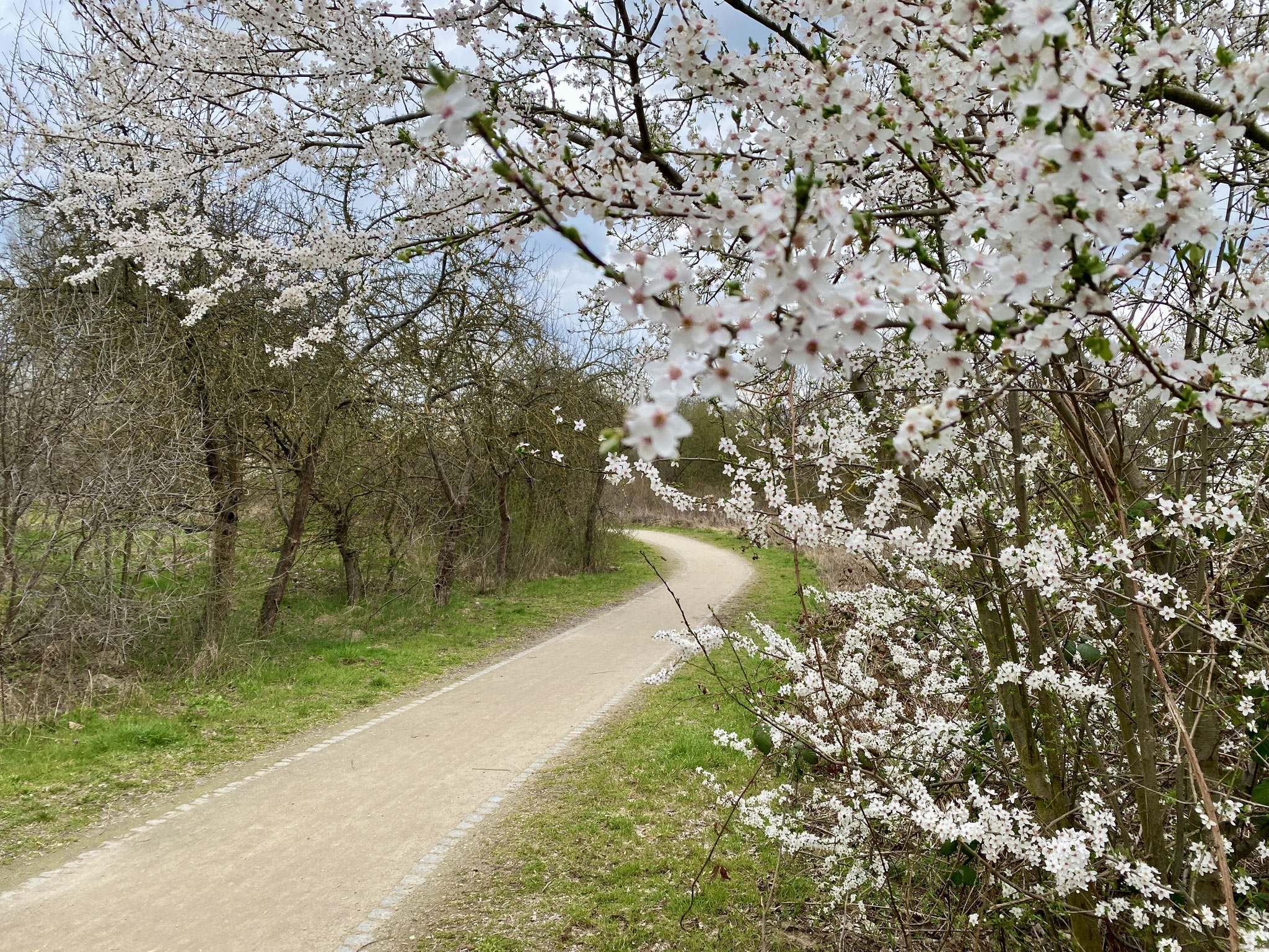 Tipp 3: Wuhle-Hönow-Weg
