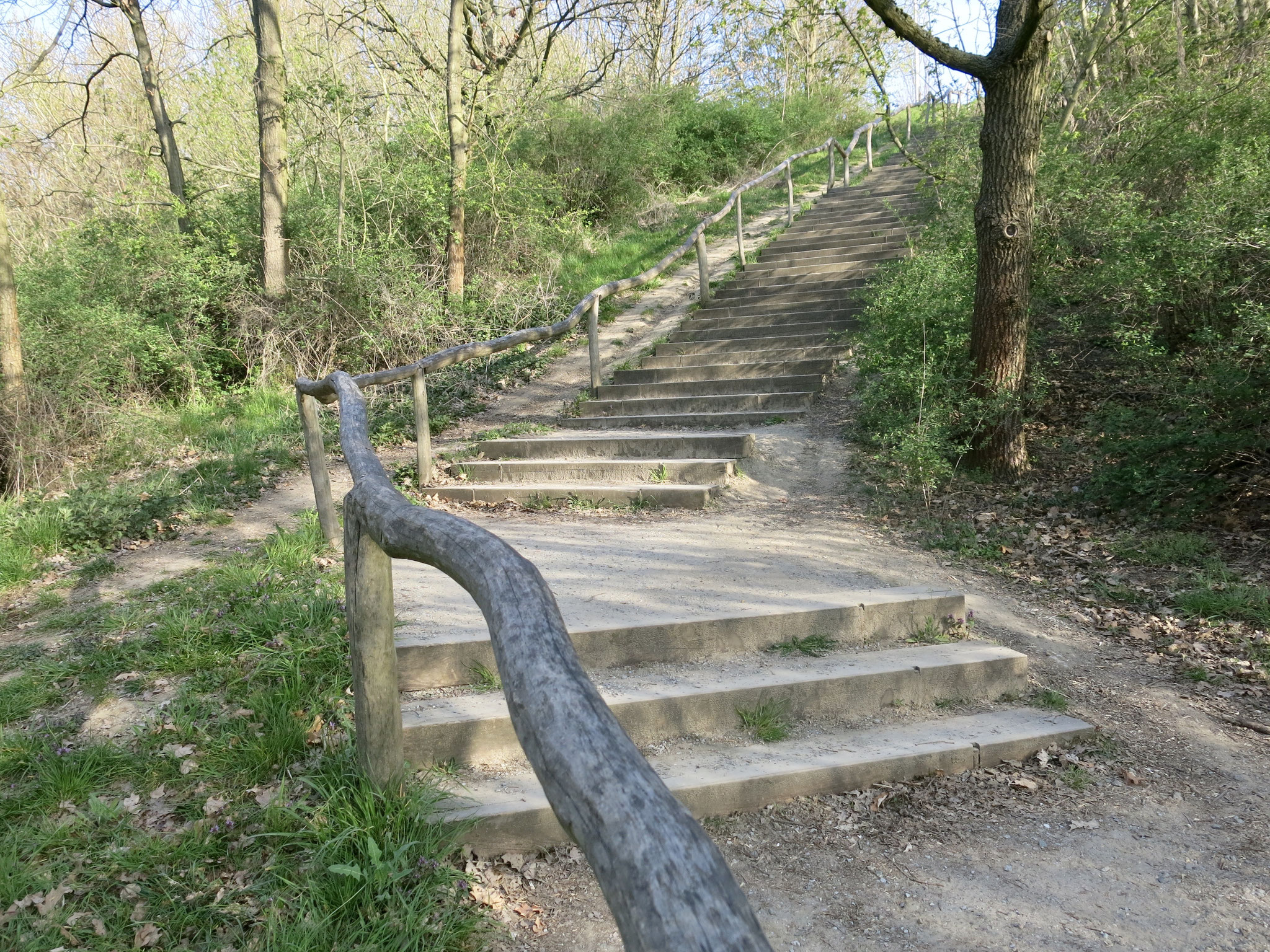 Tipp 9: Kienberg