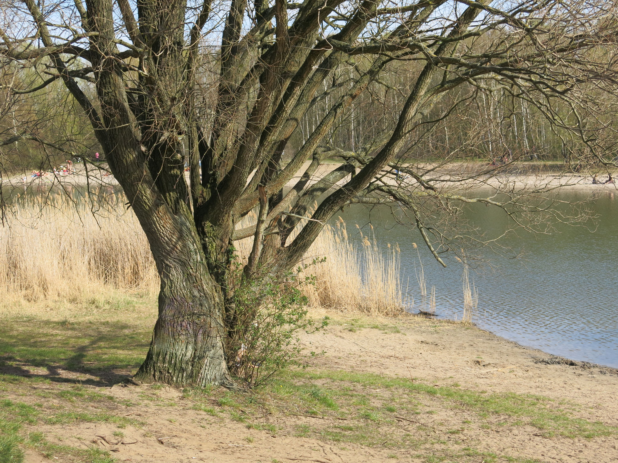 Tipp 5: Kaulsdorfer Seen, Habermannsee