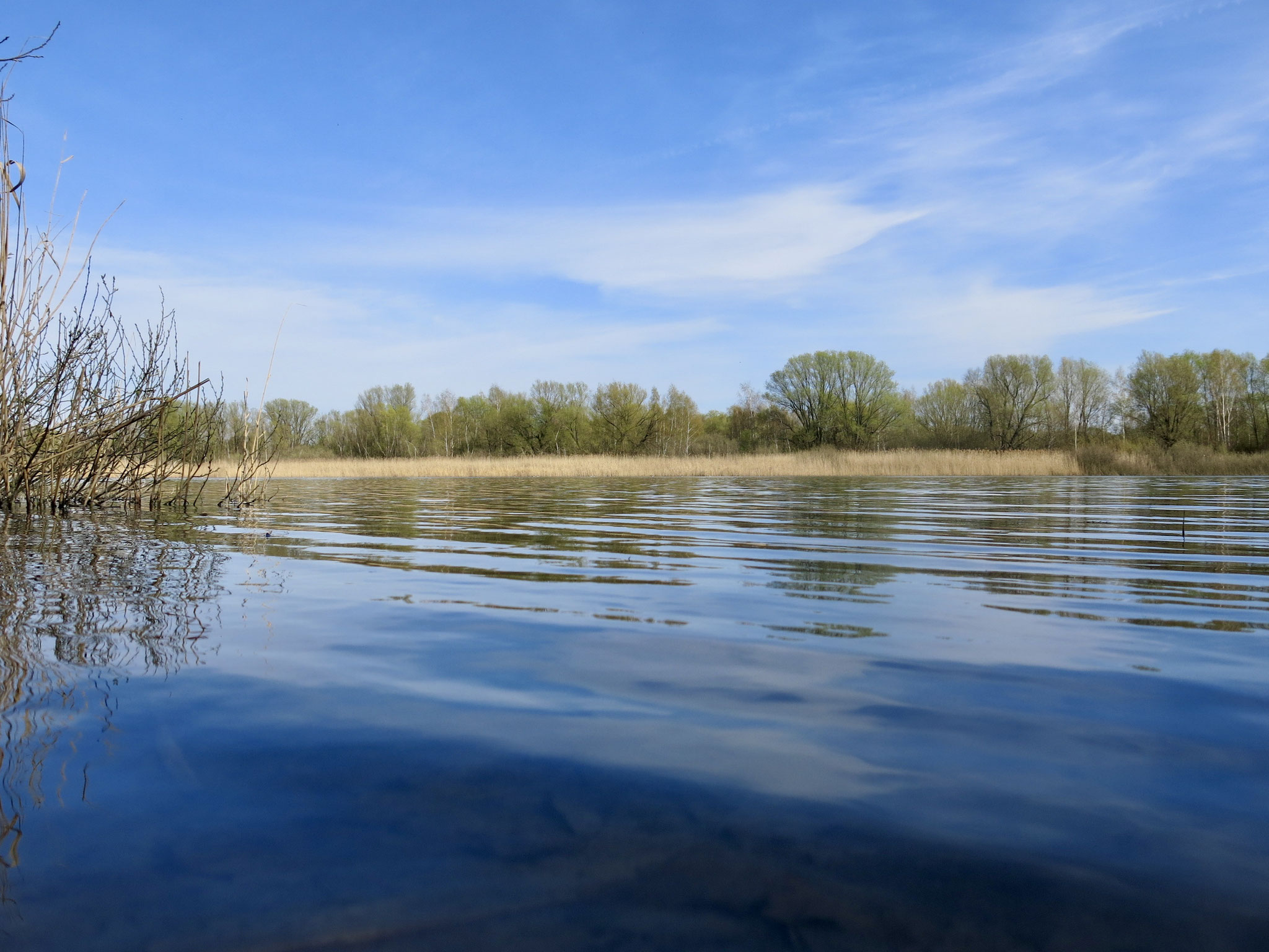 Tipp 5: Kaulsdorfer Seen, Butzer See
