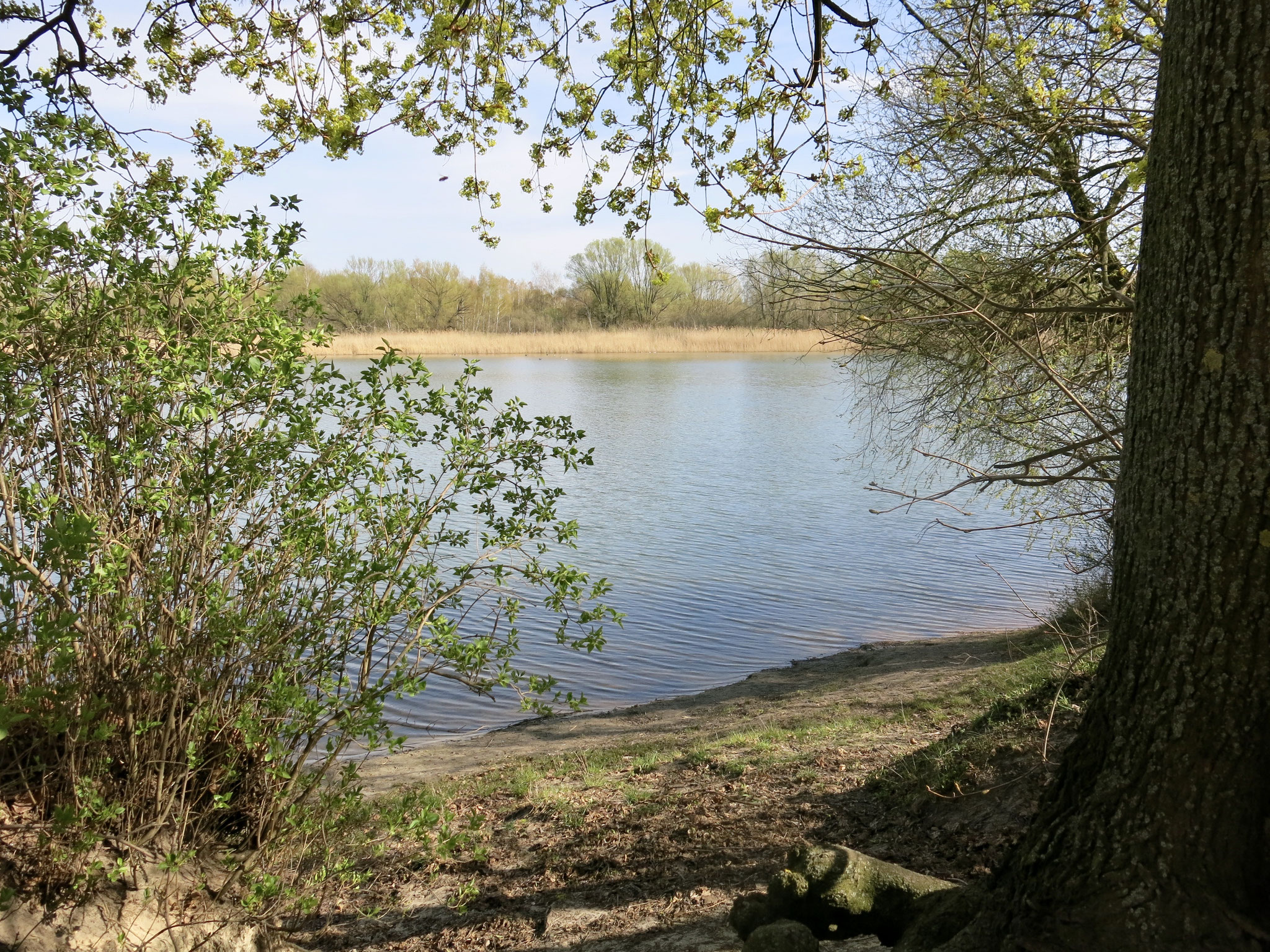 Tipp 5: Kaulsdorfer Seen, Butzer See
