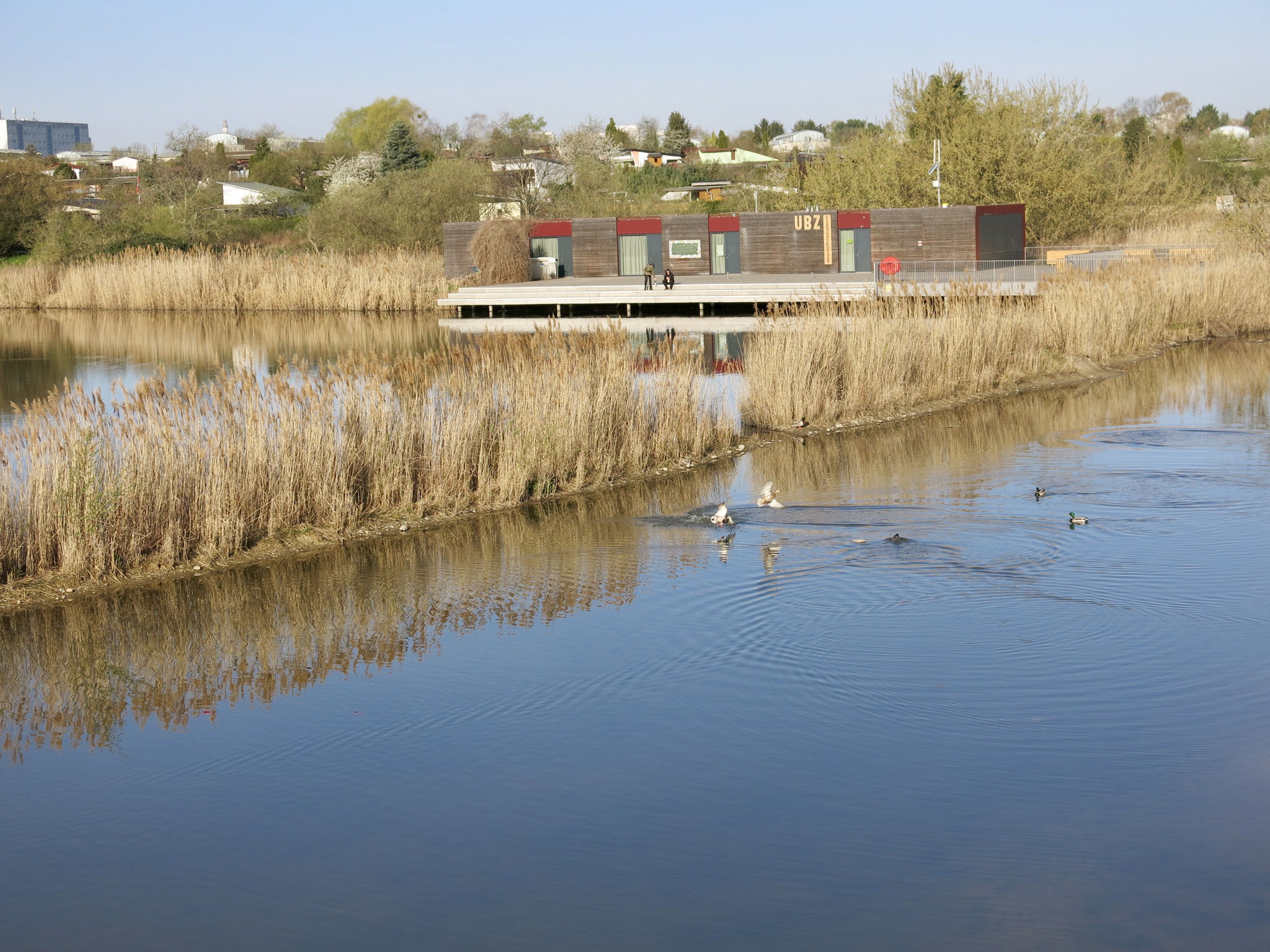 Tipp 9: Kienberg: Umweltbildungszentrum am Wuhleteich
