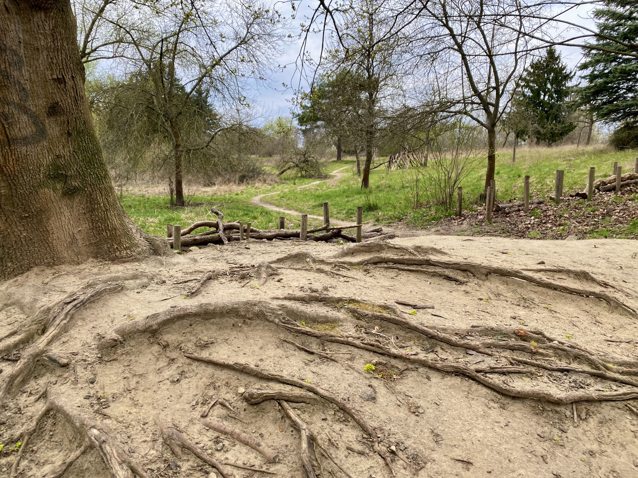 Tipp 3: Wuhle-Hönow-Weg