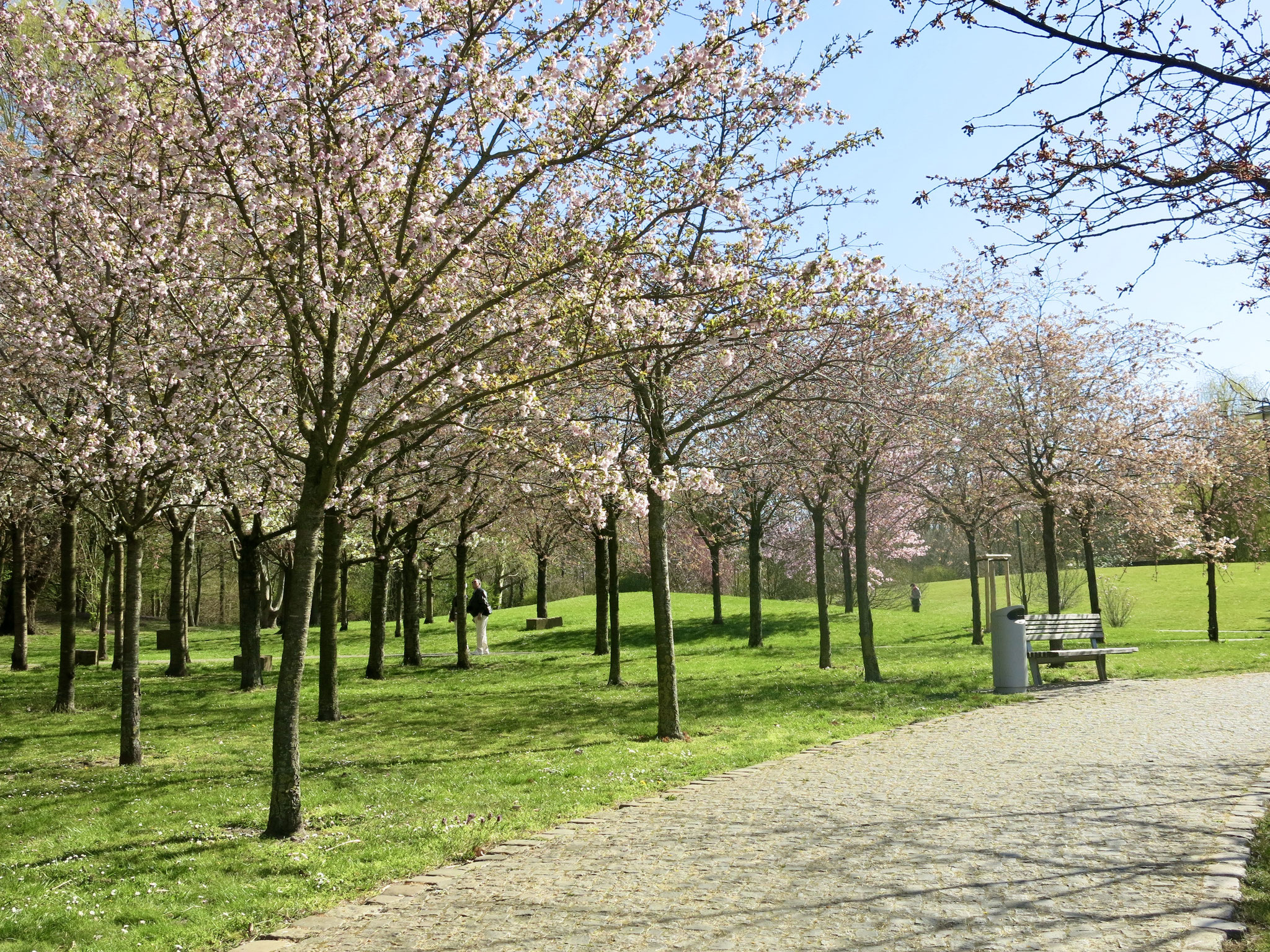 Tipp 11: Gärten der Welt