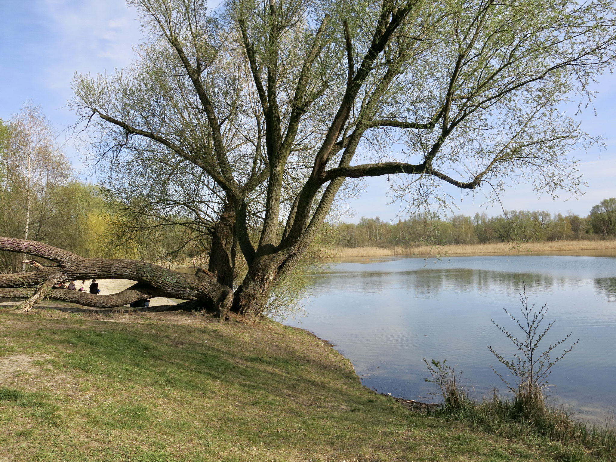Tipp 5: Kaulsdorfer Seen, Butzer See