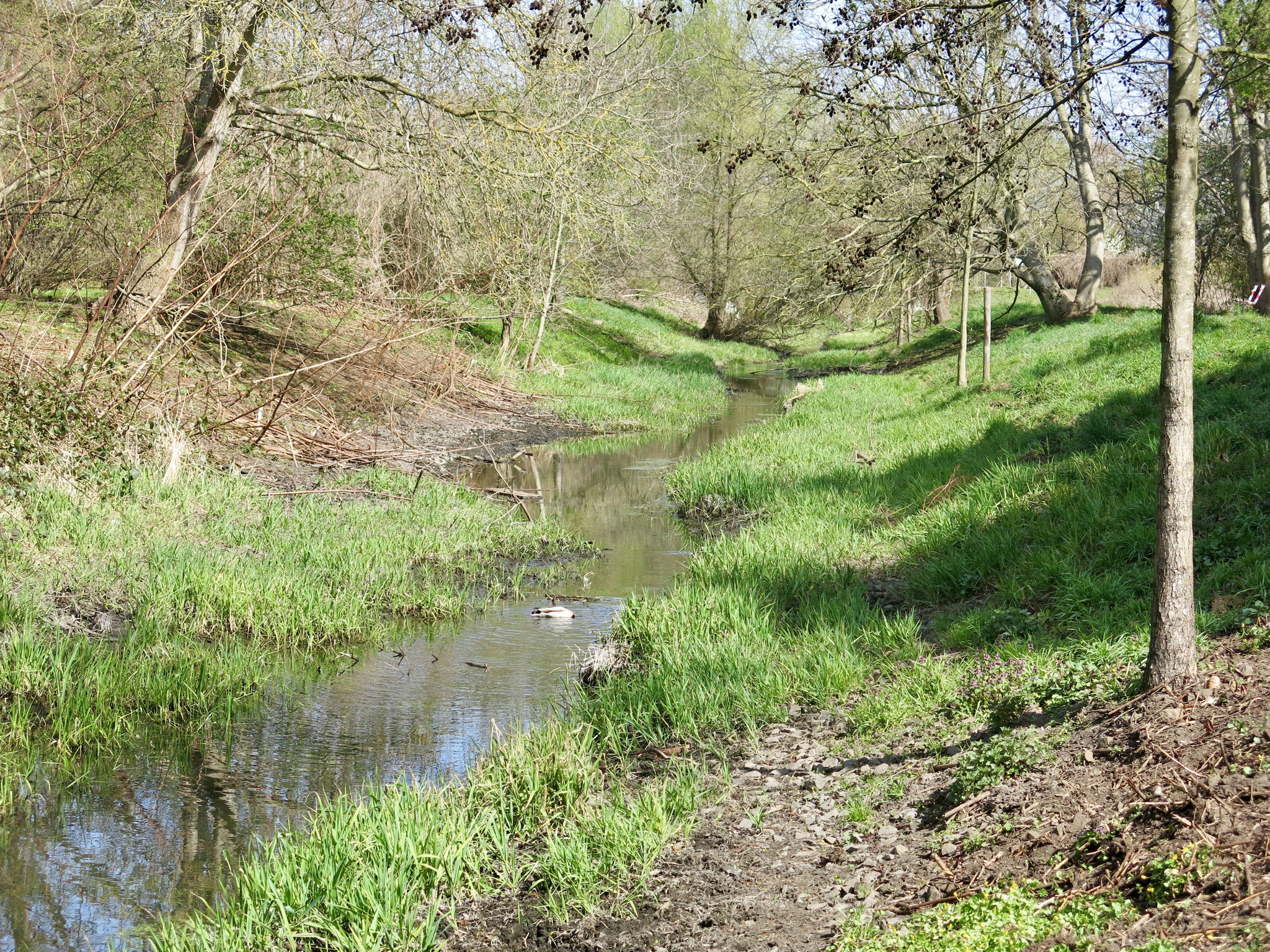 Tipp 2: Südlicher Wuhletal-Wanderweg