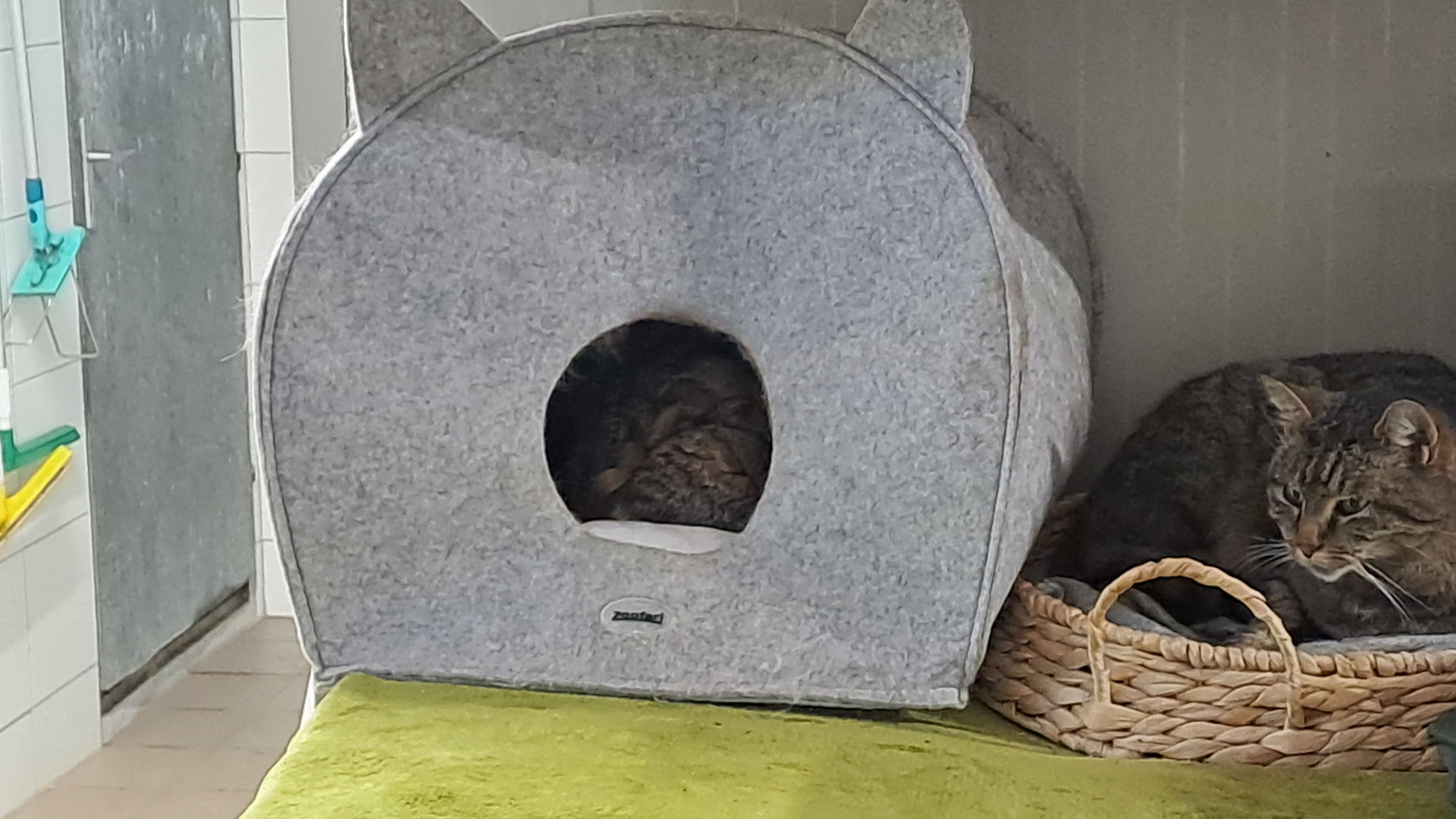 Alles ist mit Liebe, Ruhe und Geduld möglich! Alle haben wir ein Herz aus GOLD! 