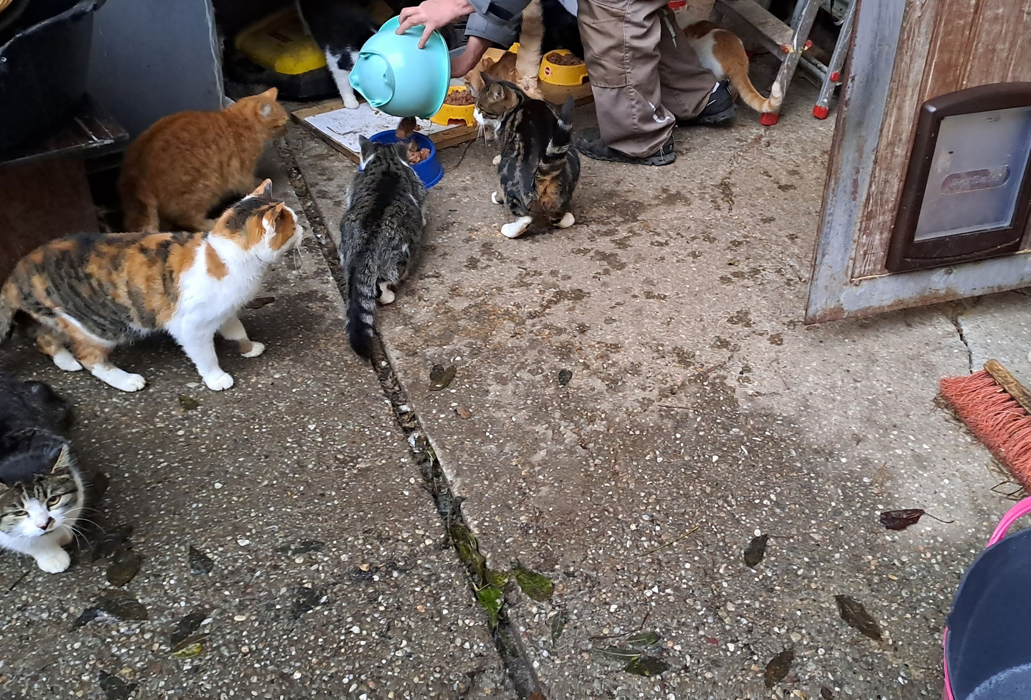 UND....bitte, liebes Christkind!!!