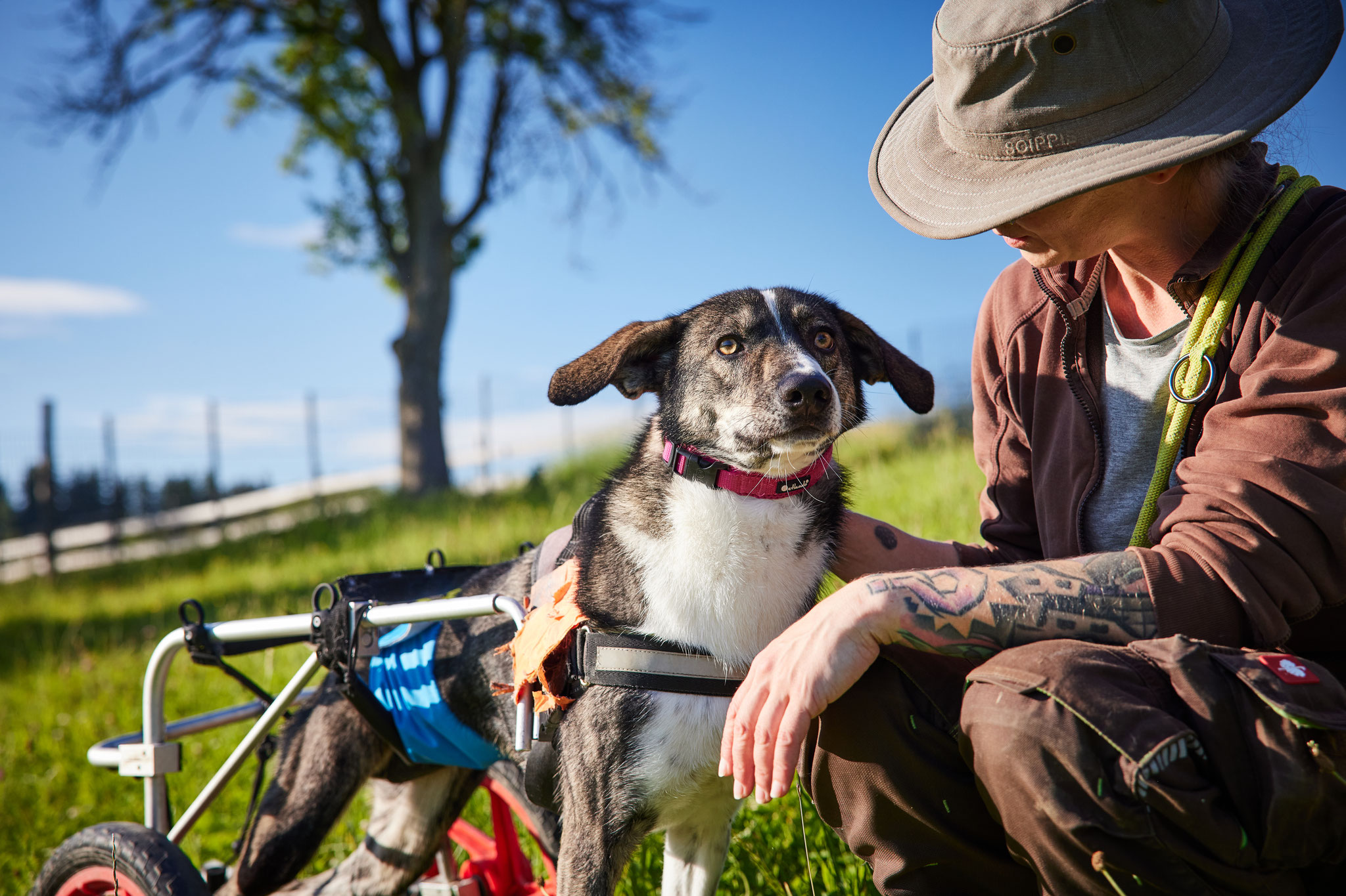 Ich liebe Menschen, die mir gut gesinnt sind. Ich der Jakob bin eine wirklich treue und charmante Seele! 
