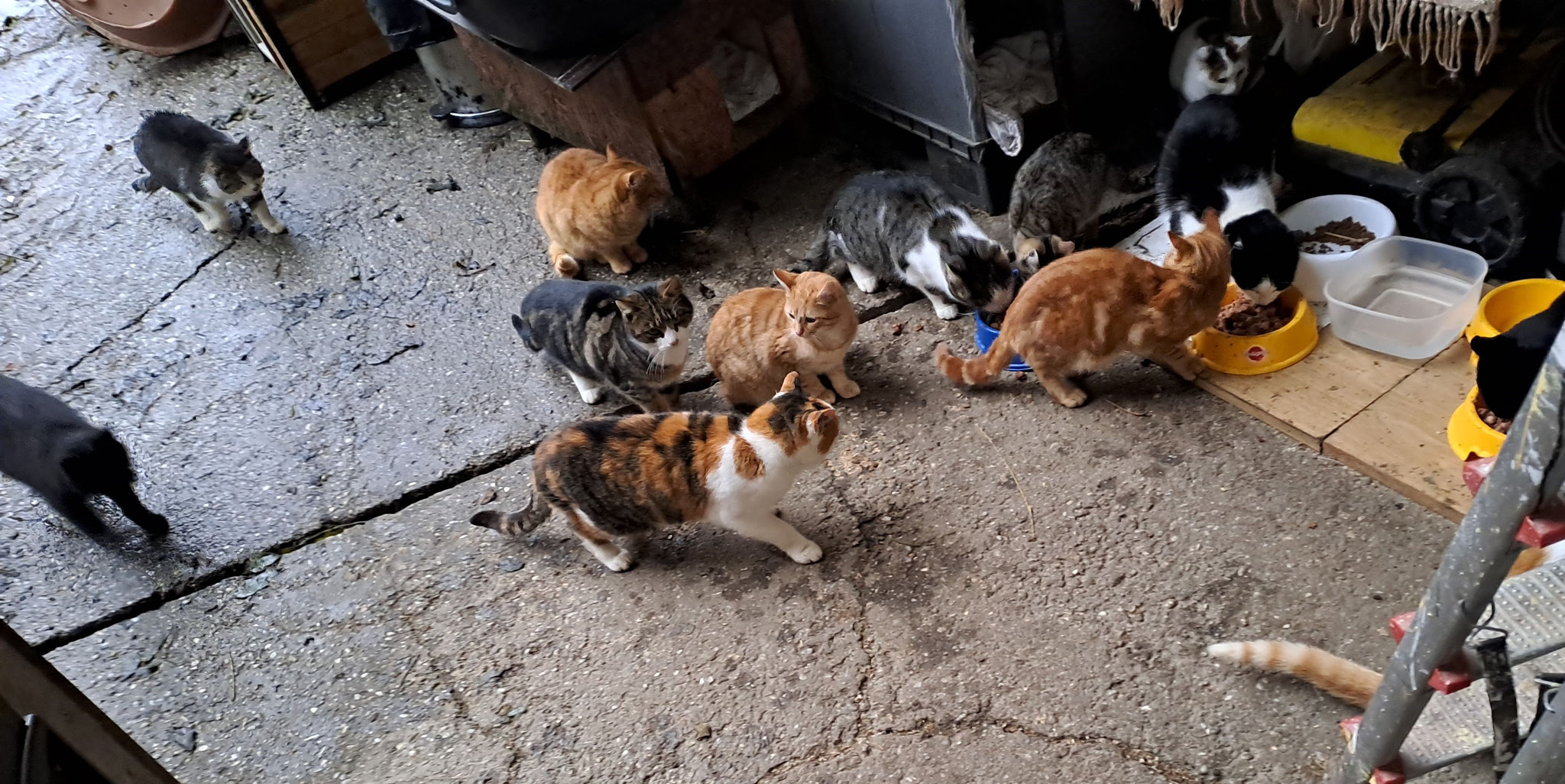 DANKE an alle, für die auch wir wichtig sind! 