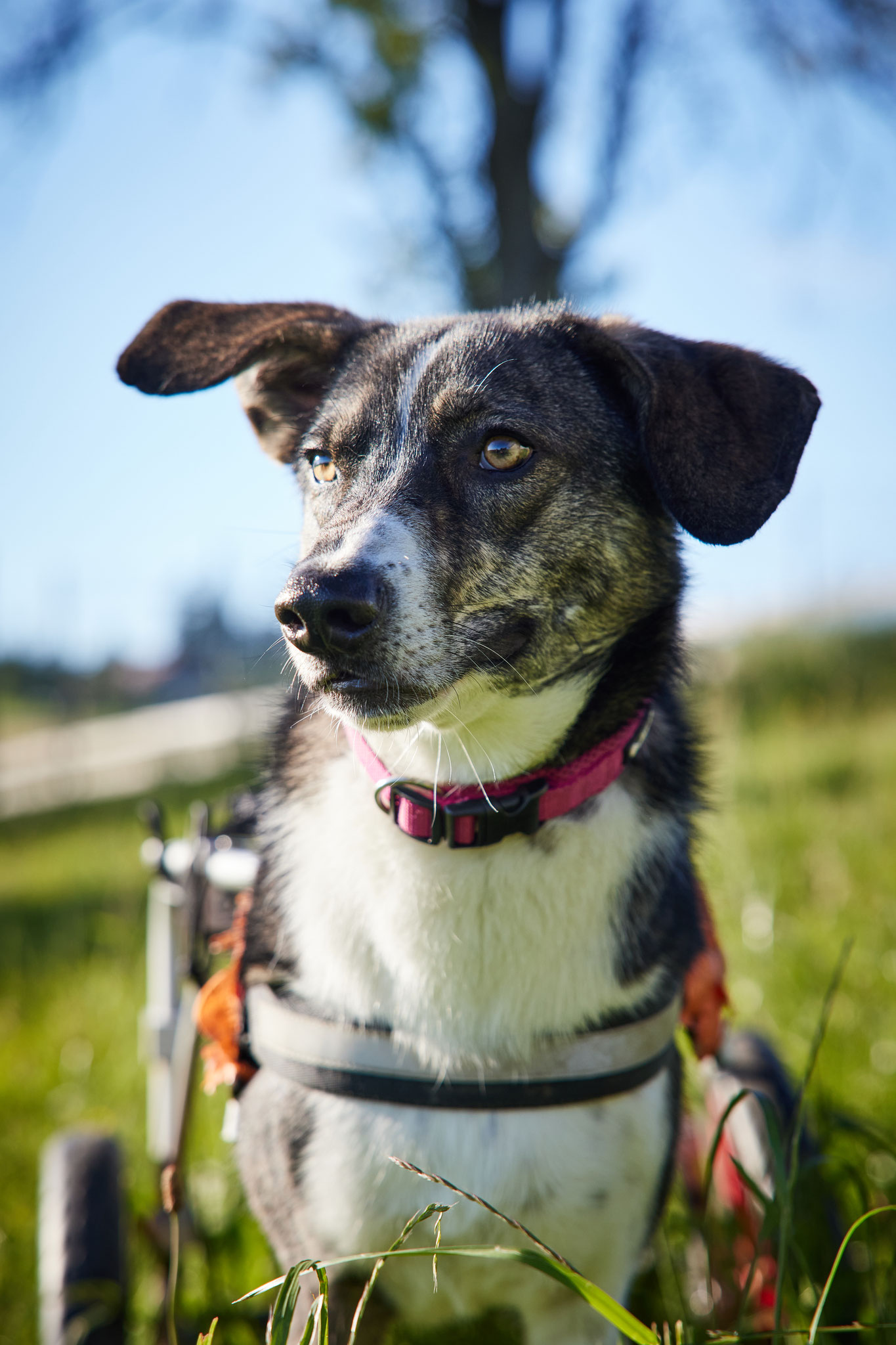 und könnte mit dir die Welt umreisen - die mich wirklich so so sehr interessieren würde! 