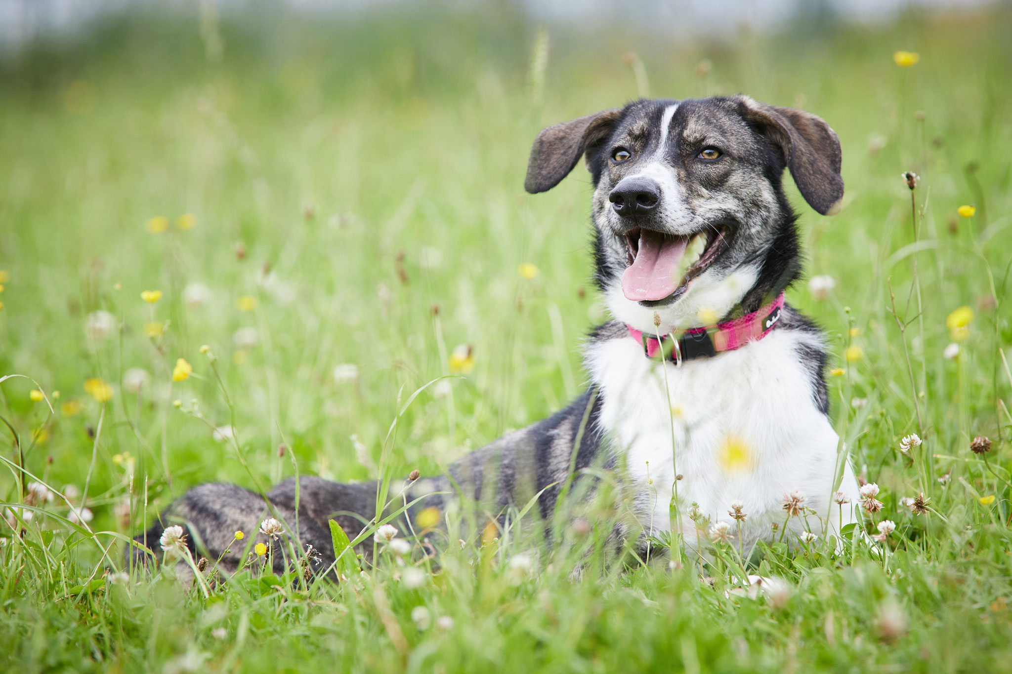 Wauww und Hallo!! Ich hab was vernommen....