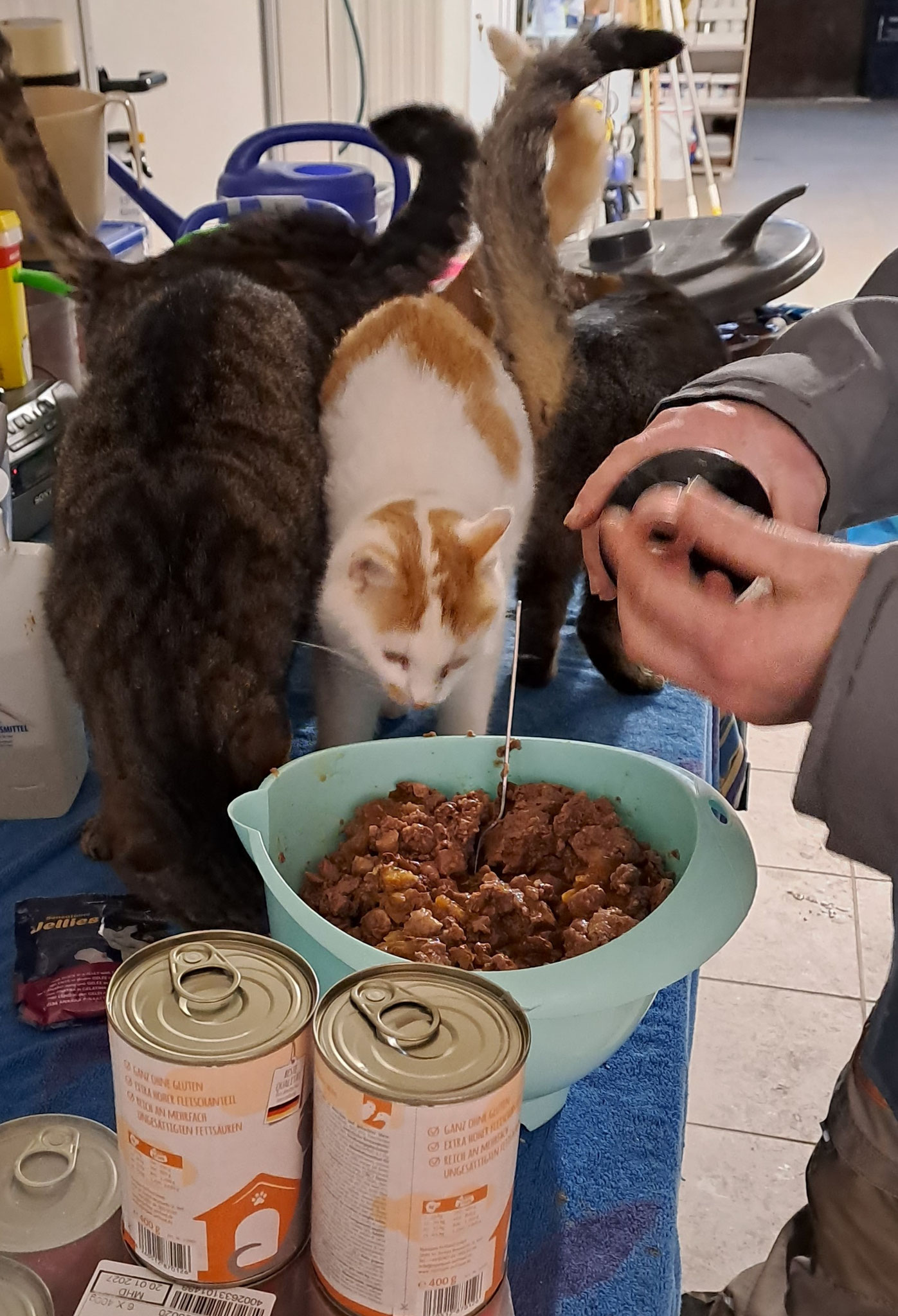 Kontrolle viel besser!