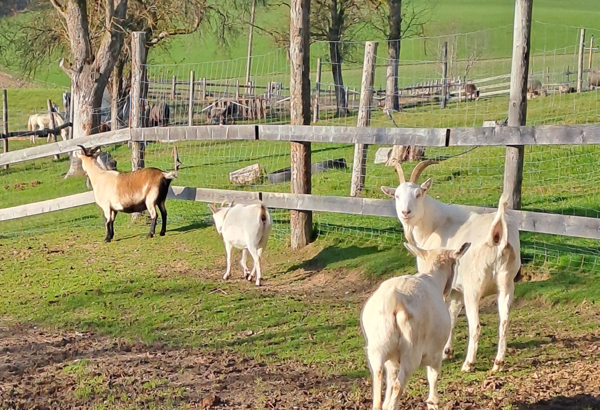 Bewegung macht hungrig! 