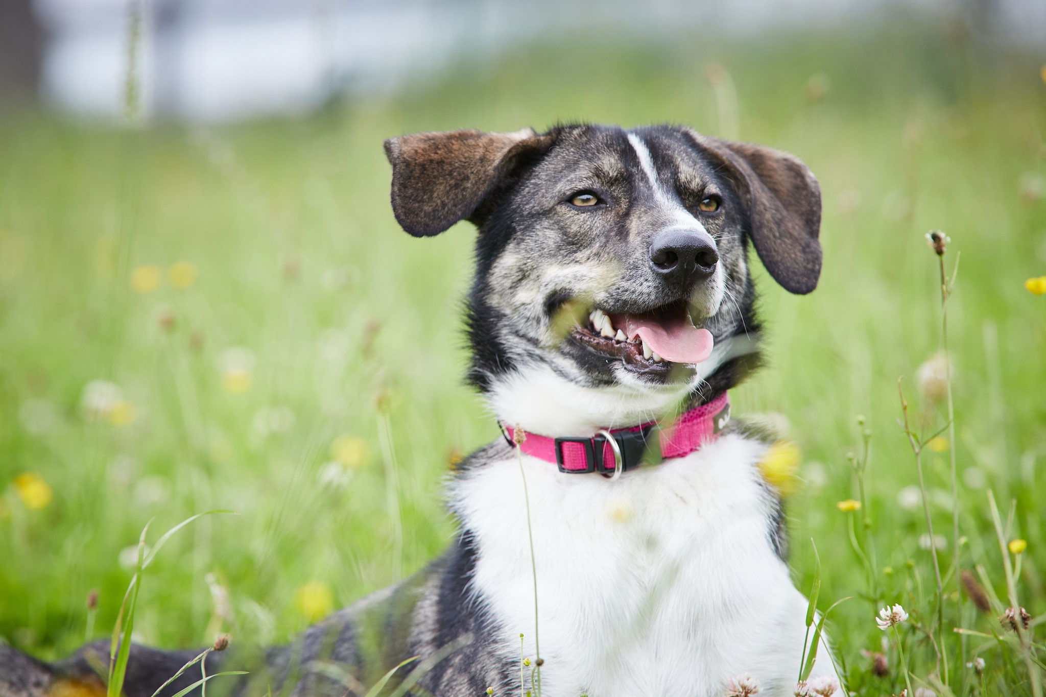 Ich wünsch mir ganz viel Liebe und ganz viel Abenteuer! Ich wäre ein echter Weltentdecker!! 