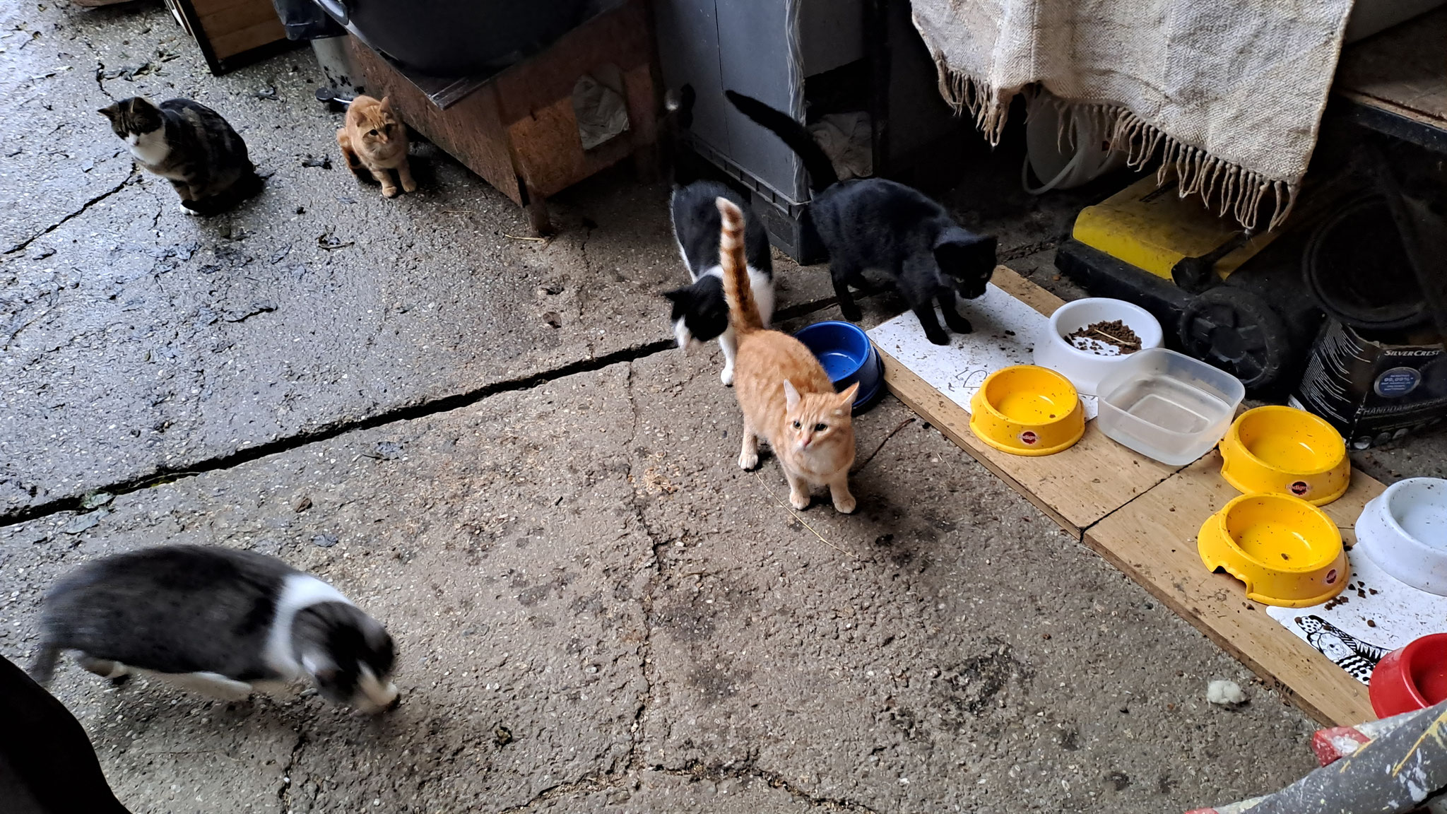 Wir sind nämlich wirklich viele und der Bauch rummort bereits...