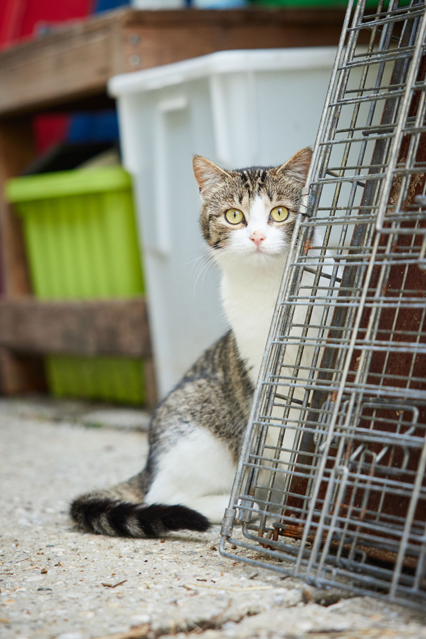 Hallo, lieber Mensch! Darf ich dir hier mein neues Leben und meine neuen Freunde vorstellen?