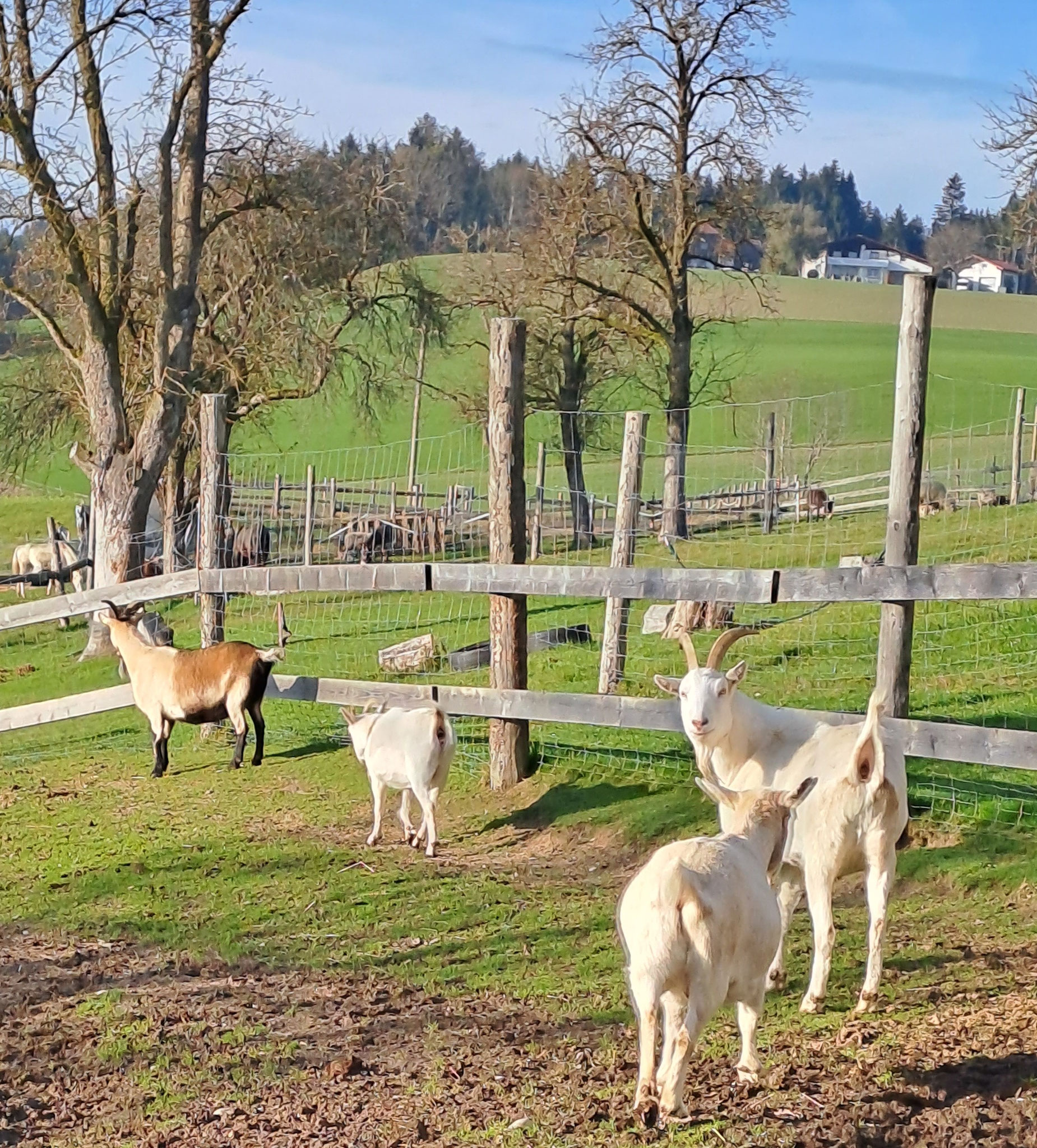 Auch uns findet man überall! Nicht`s bleibt unentdeckt! Ab ins nächste Abenteuer!!! 