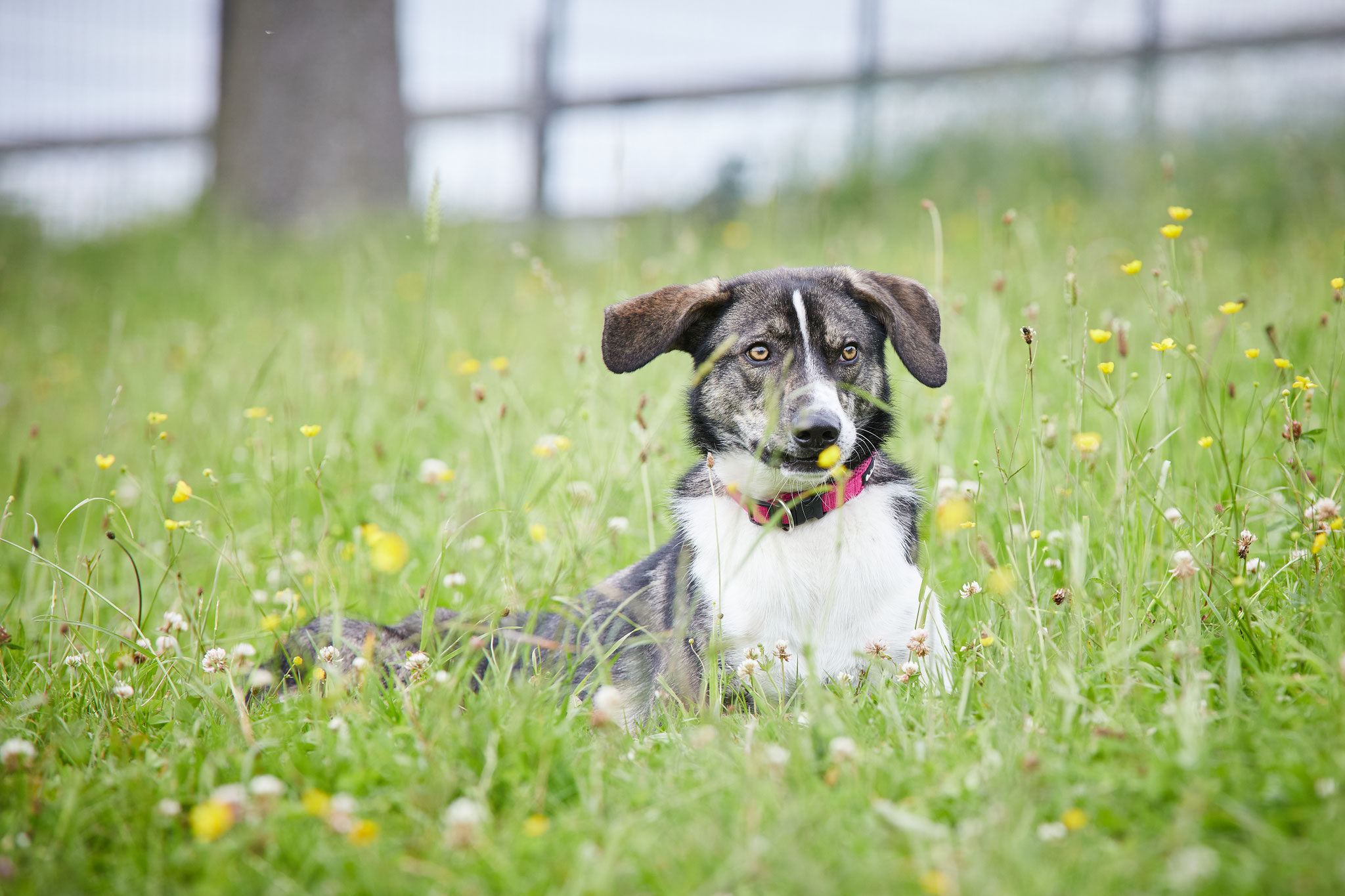 Hey DU! JA DUUUUU! Siagst mi?